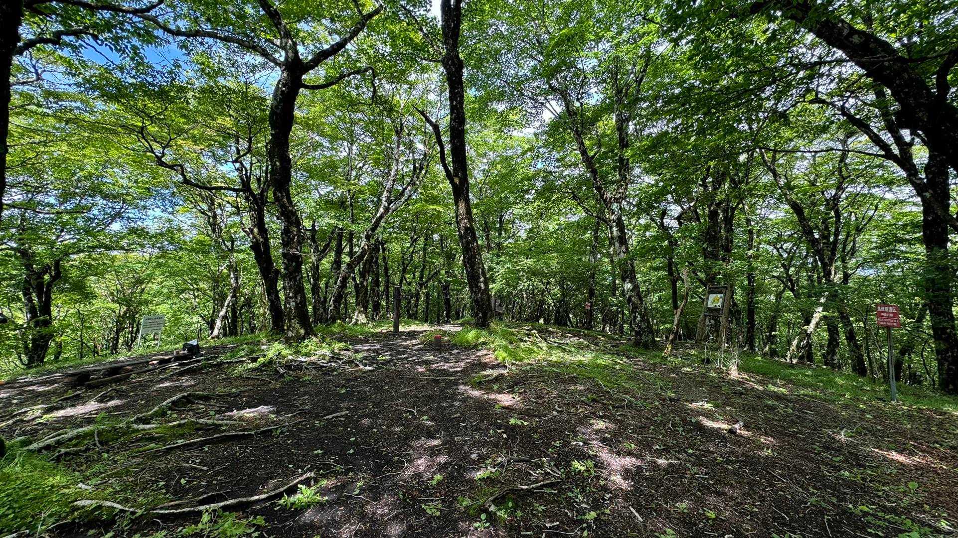 富士箱根トレイル／セクションハイク（三国山〜湯船山〜不老山〜駿河小山駅）＋鉄砲木ノ頭 の写真 10