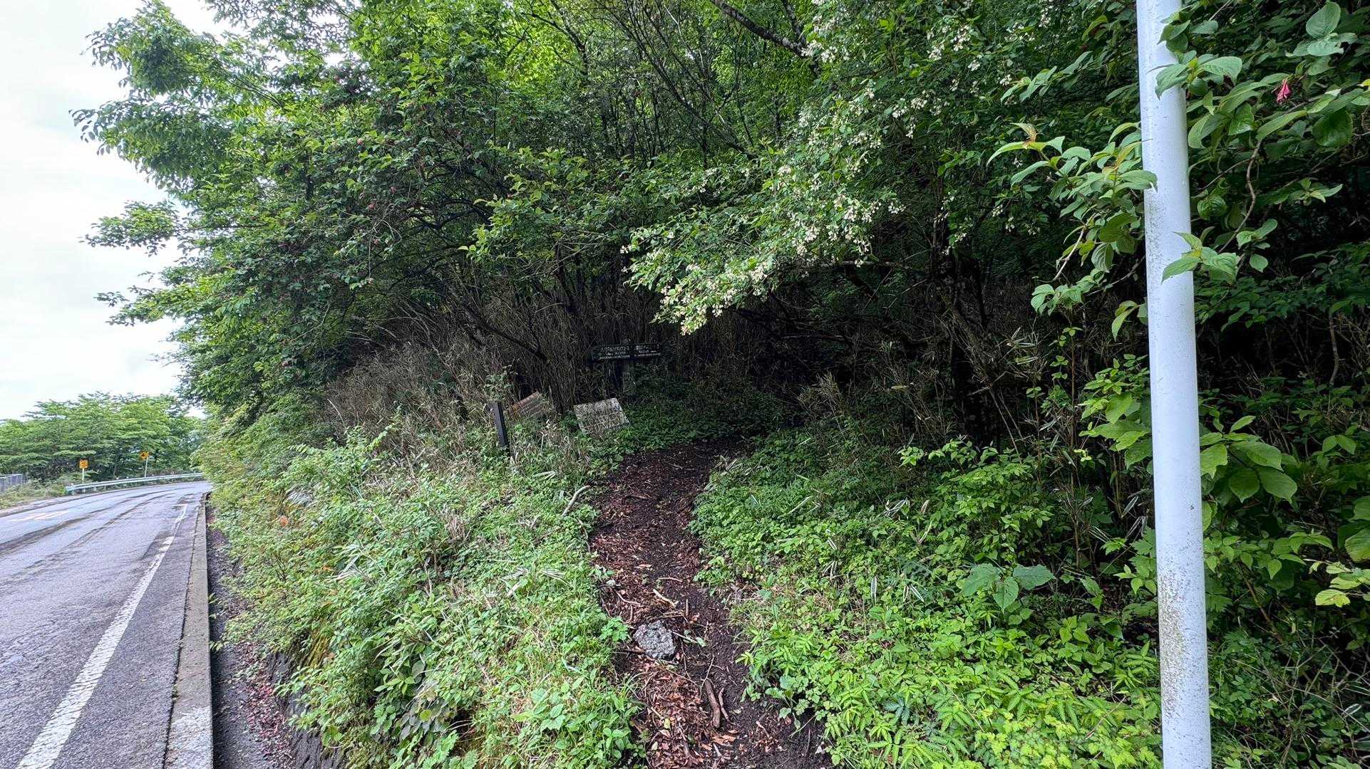 三国峠の三国山への登り口