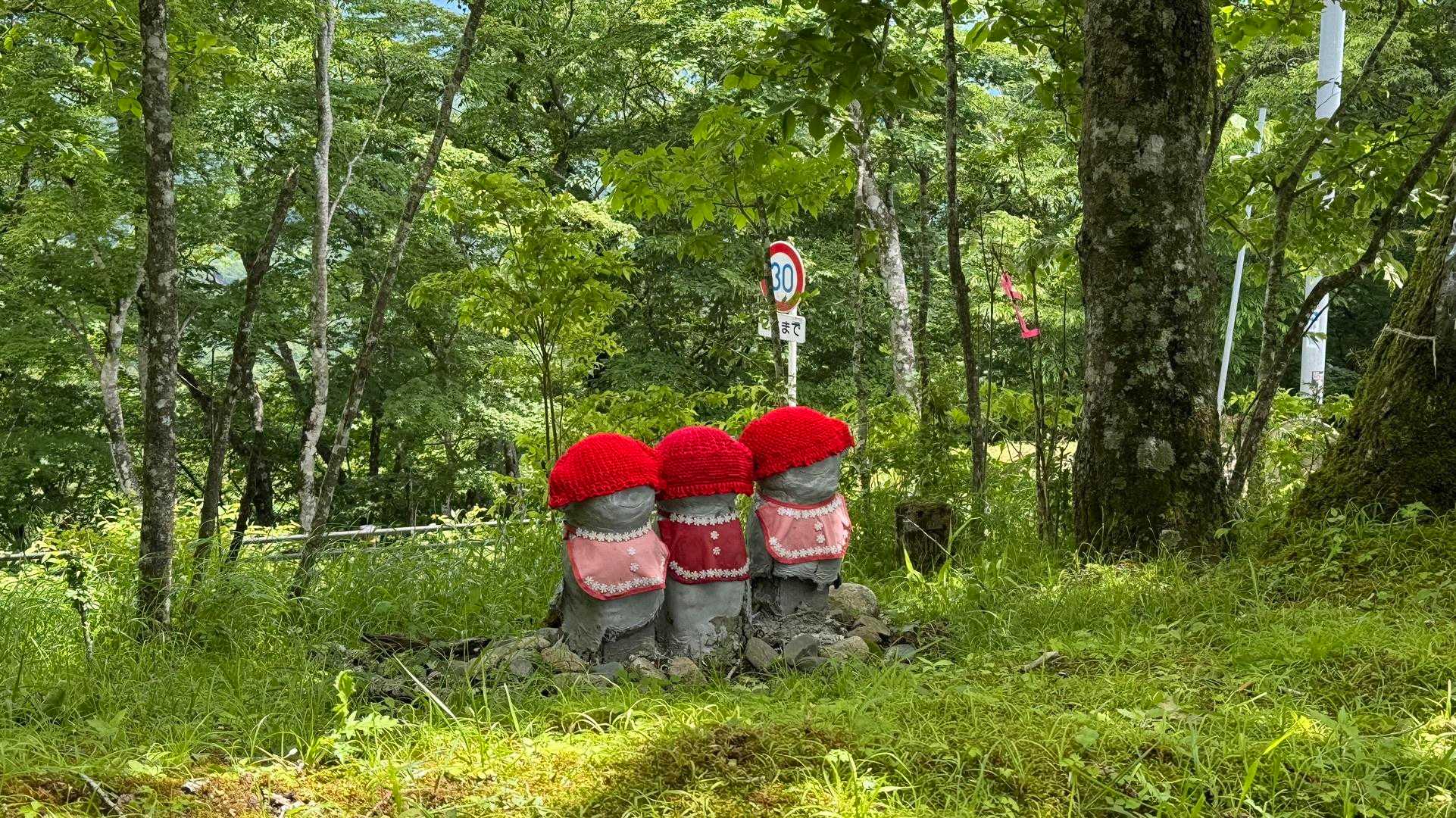 富士箱根トレイル／セクションハイク（三国山〜湯船山〜不老山〜駿河小山駅）＋鉄砲木ノ頭 の写真 13