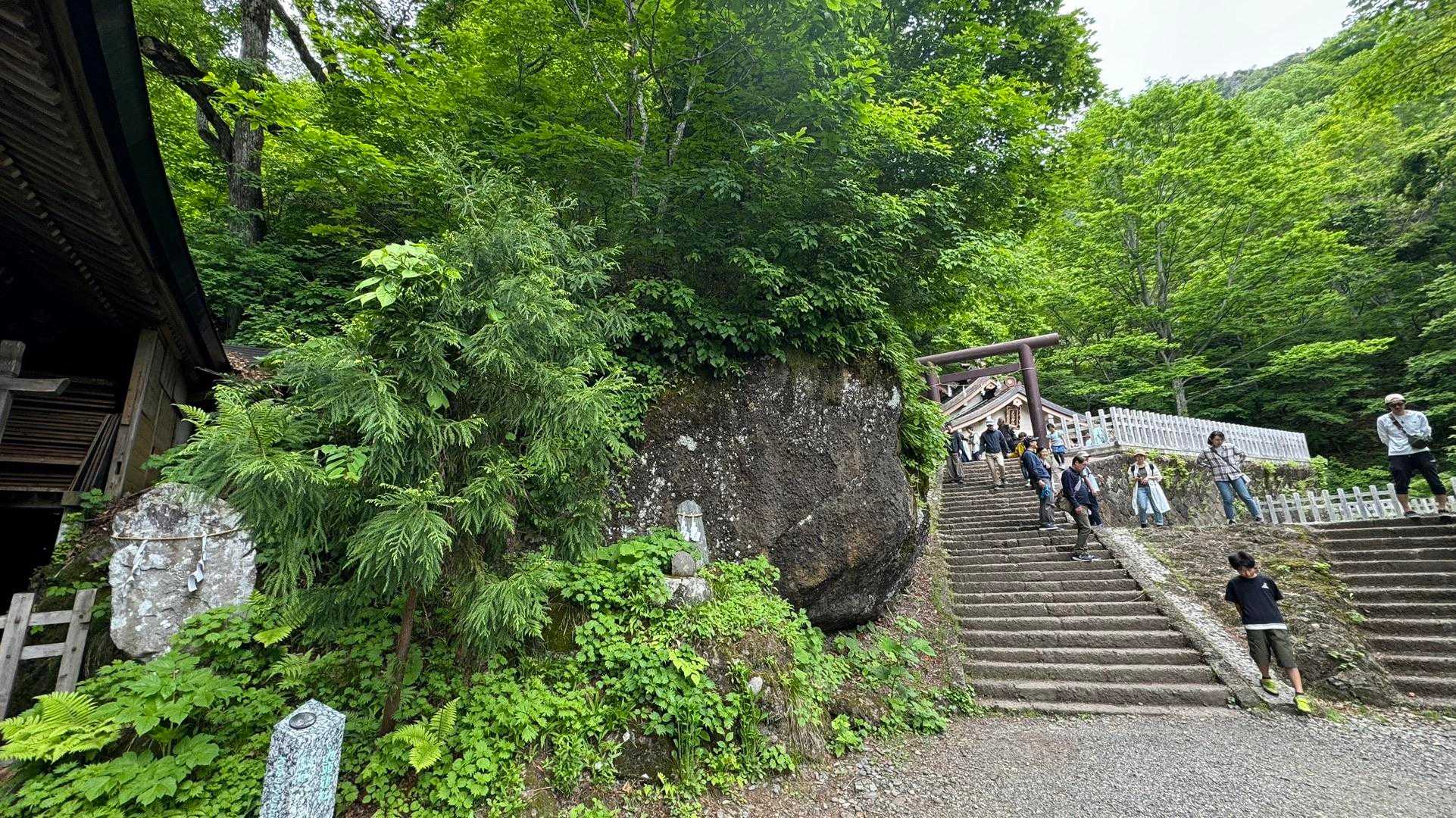 あまとみトレイル#1（長野駅〜飯綱高原〜戸隠神社〜戸隠キャンプ場） の写真 99
