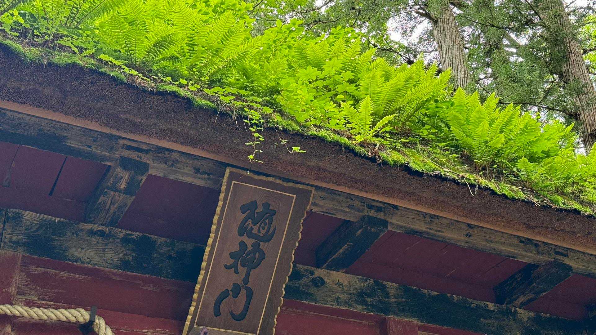 あまとみトレイル#1（長野駅〜飯綱高原〜戸隠神社〜戸隠キャンプ場） の写真 95