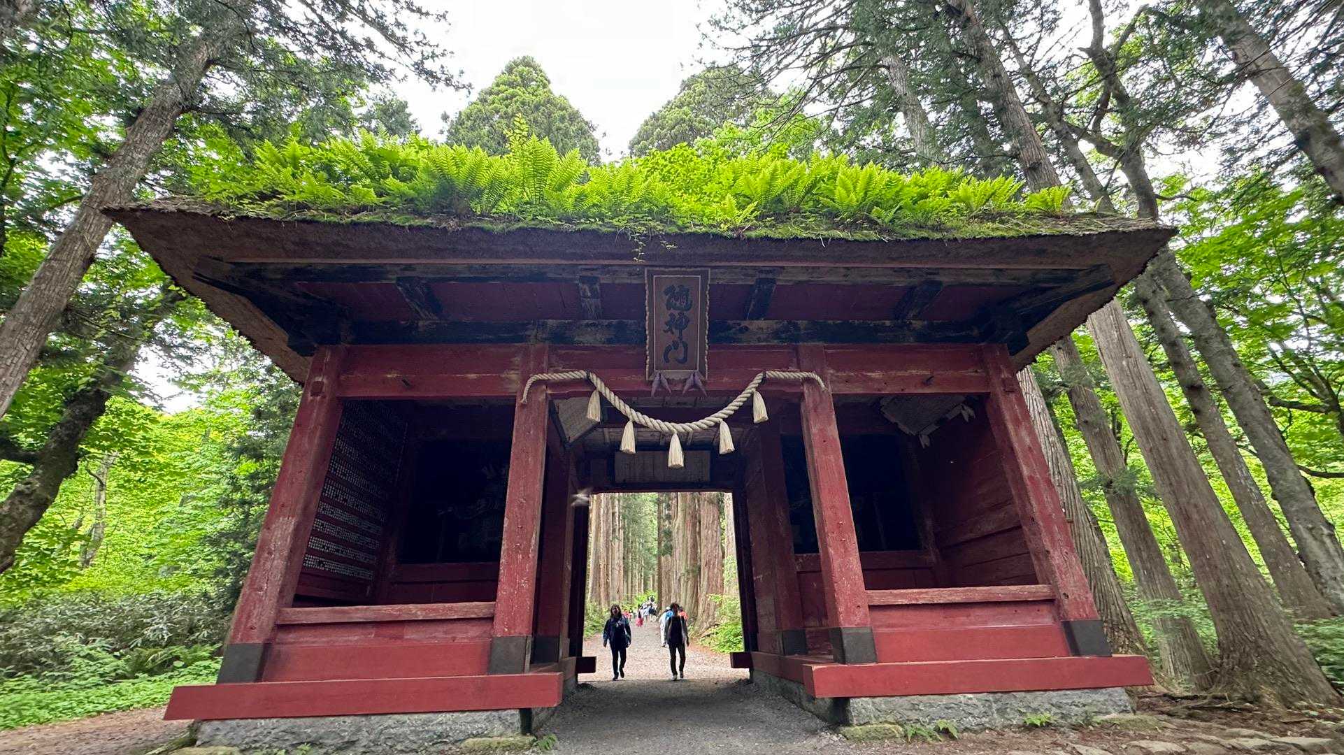あまとみトレイル#1（長野駅〜飯綱高原〜戸隠神社〜戸隠キャンプ場） の写真 94