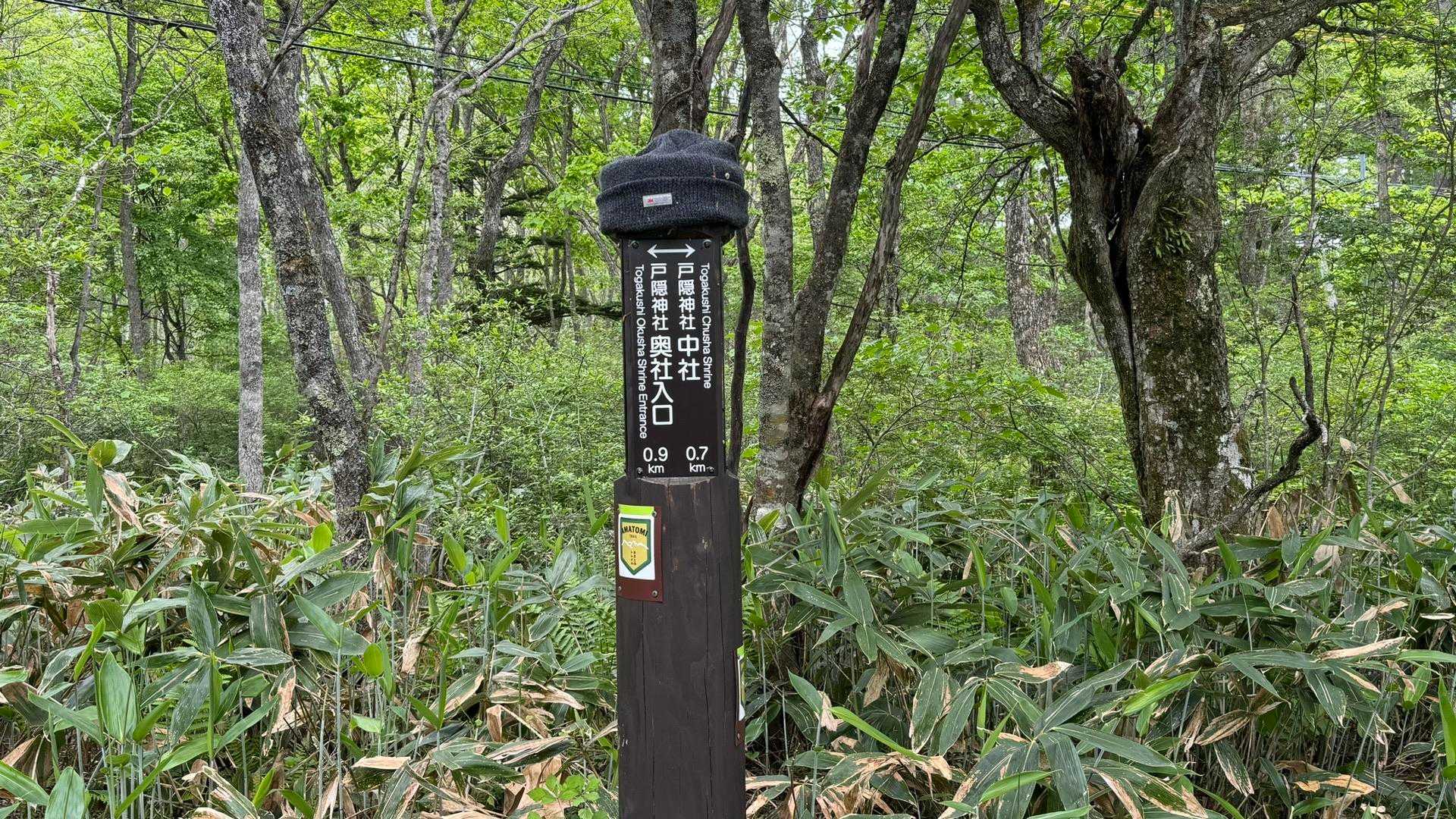 あまとみトレイル#1（長野駅〜飯綱高原〜戸隠神社〜戸隠キャンプ場） の写真 88