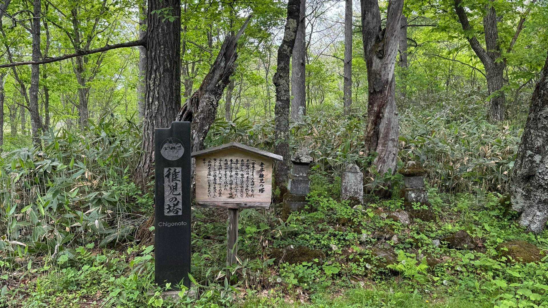 あまとみトレイル#1（長野駅〜飯綱高原〜戸隠神社〜戸隠キャンプ場） の写真 87