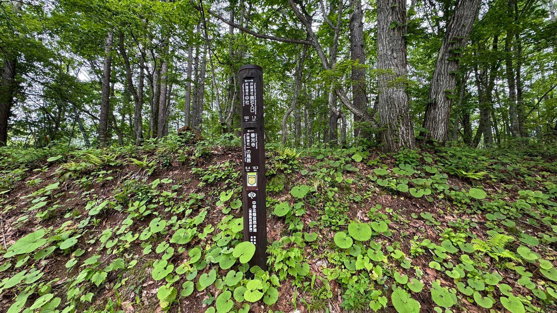 076 奥社道・植物園分岐