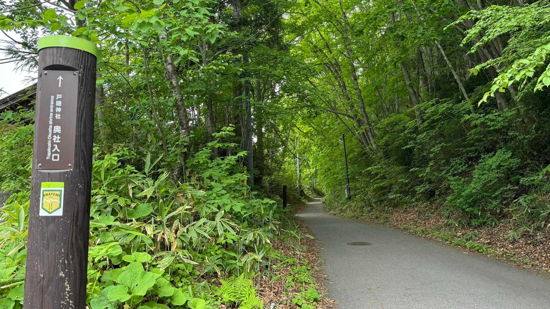 あまとみトレイル#1（長野駅〜飯綱高原〜戸隠神社〜戸隠キャンプ場） の写真 83
