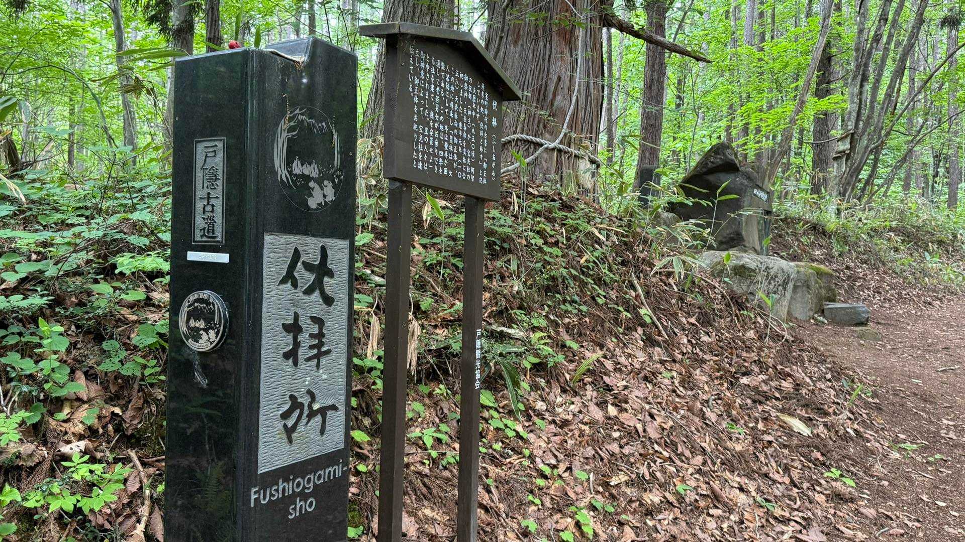 あまとみトレイル#1（長野駅〜飯綱高原〜戸隠神社〜戸隠キャンプ場） の写真 74