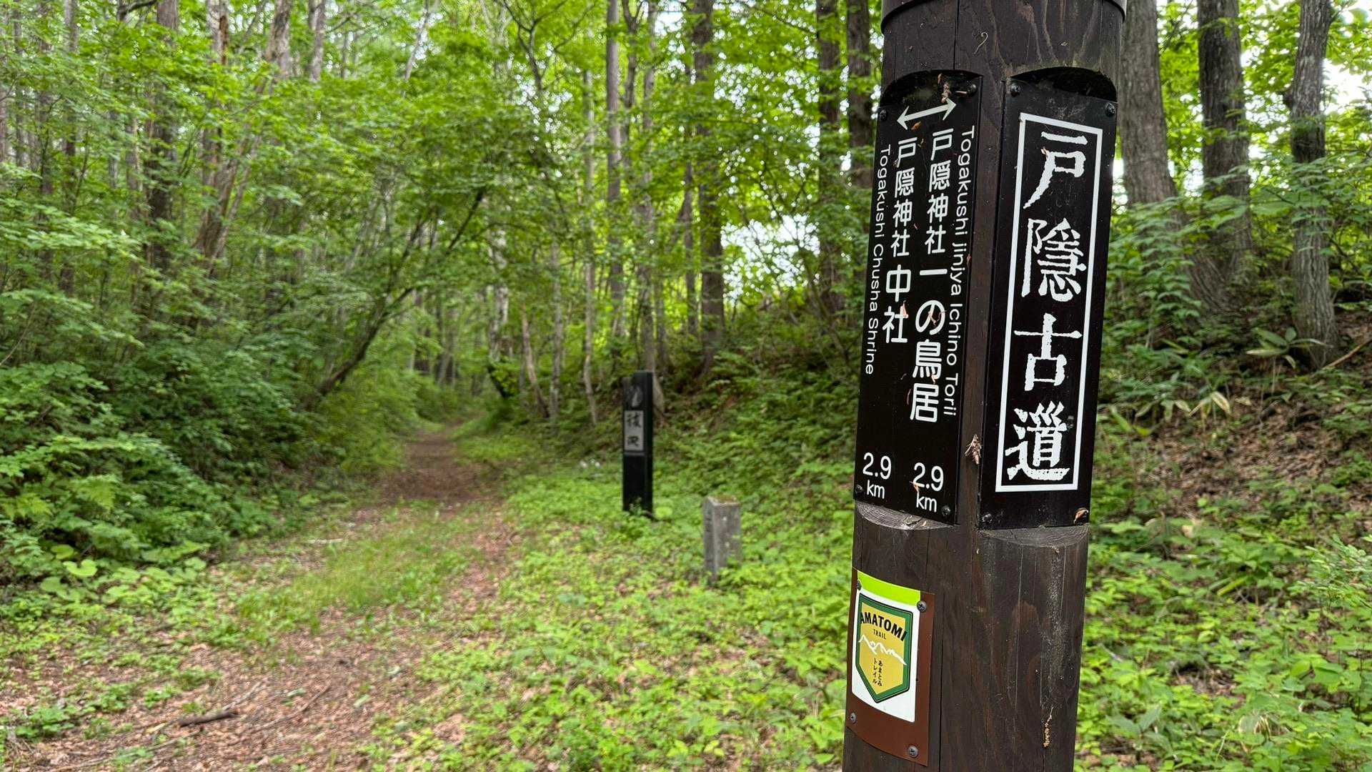 あまとみトレイル#1（長野駅〜飯綱高原〜戸隠神社〜戸隠キャンプ場） の写真 58