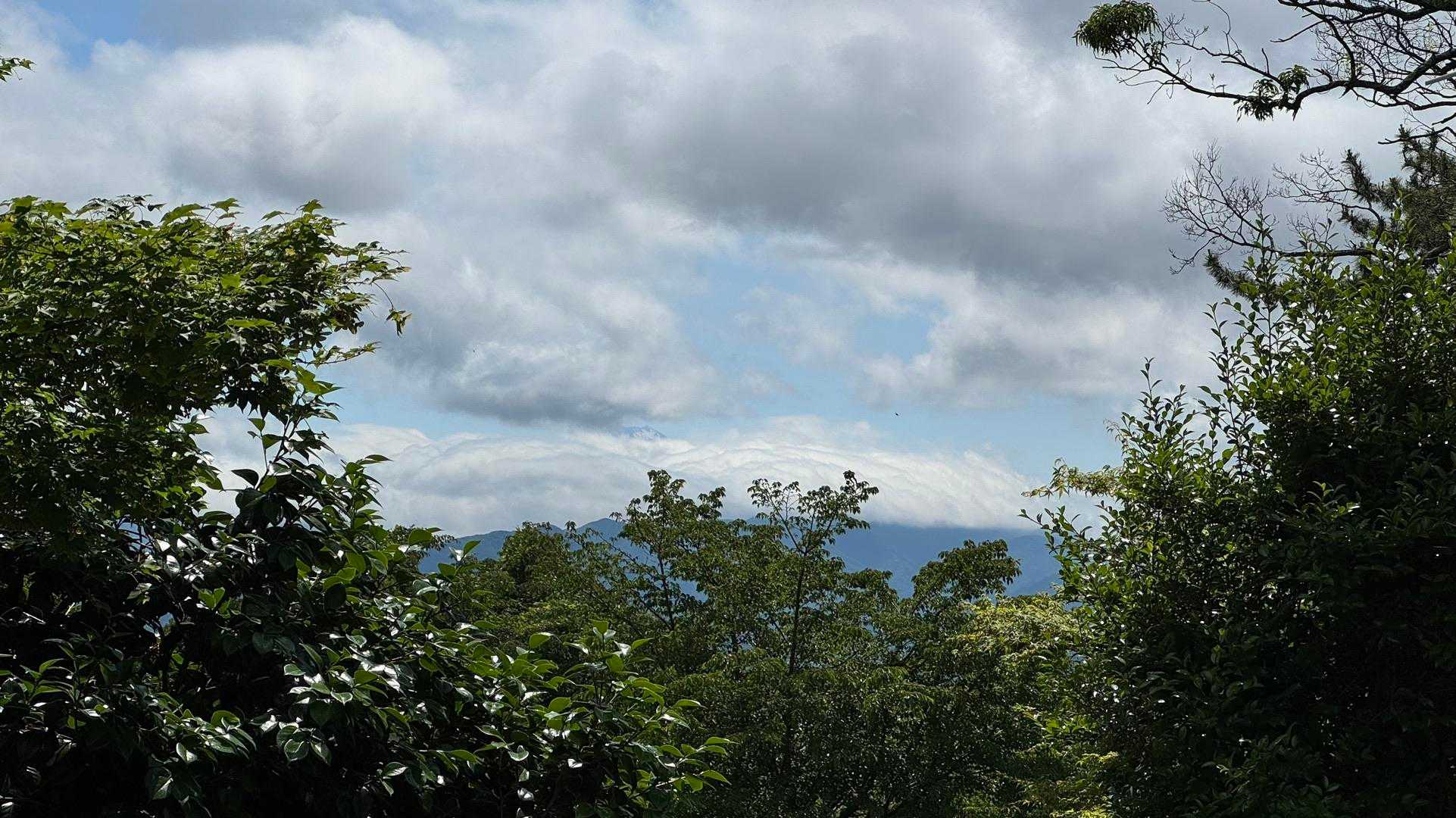 高尾山・小仏城山🍧 かき氷縦走 の写真 1