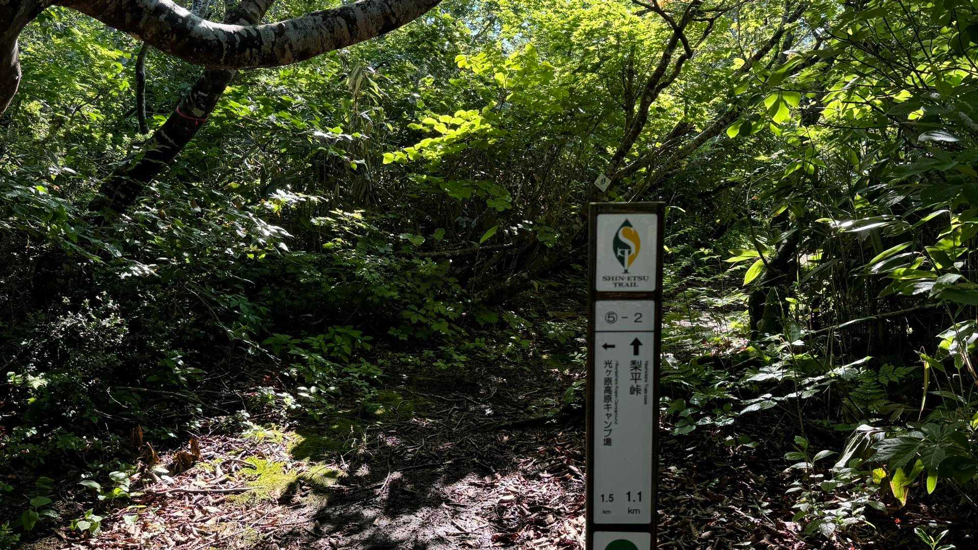 5-2、光ヶ丘キャンプ場分岐