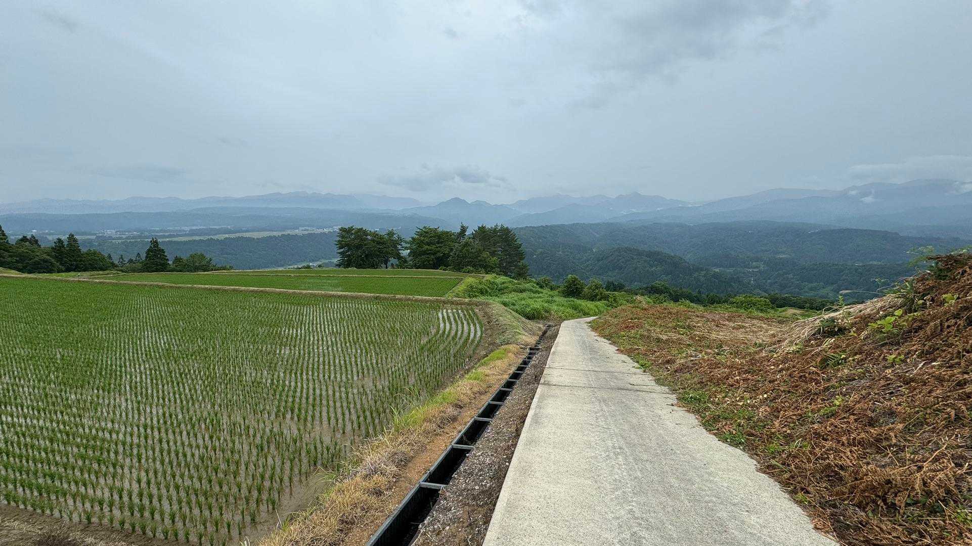 信越トレイル#4（sec.5-6-7／関田峠〜伏野峠〜野々海〜天水山〜森宮之原駅） の写真 79