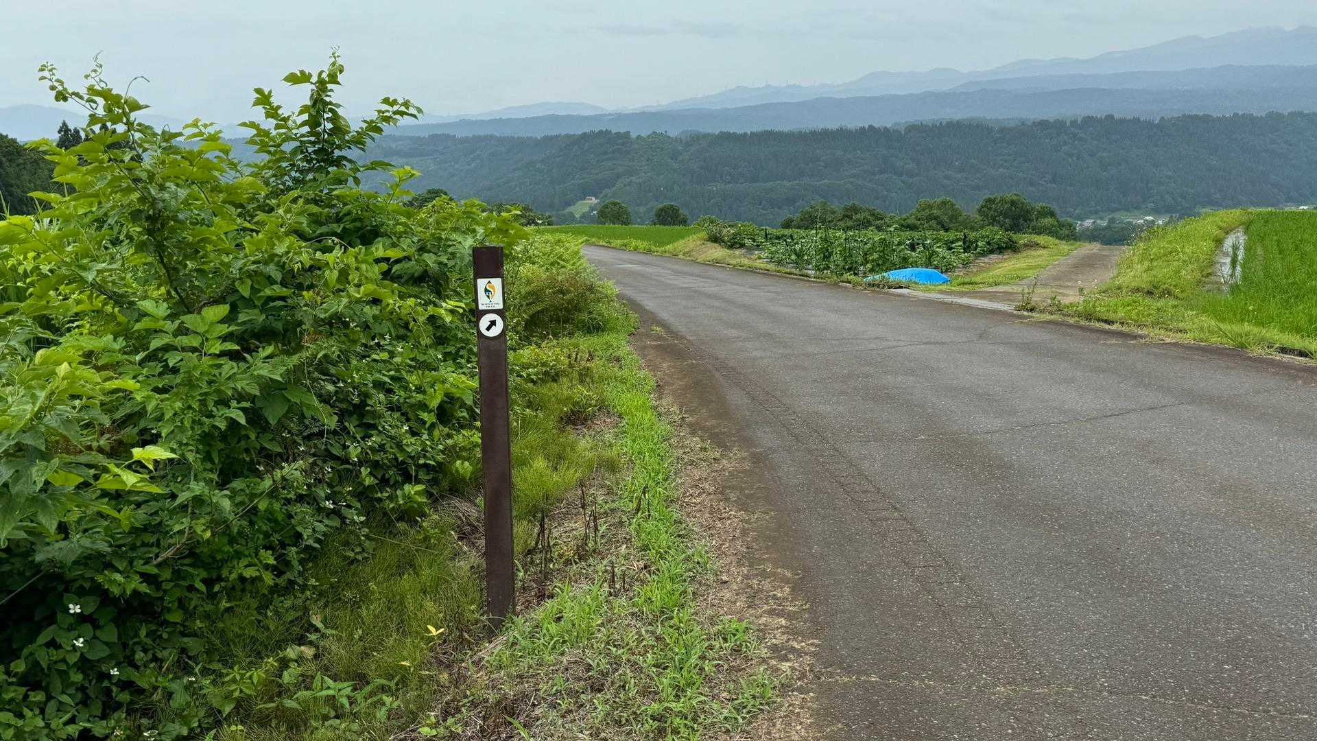 信越トレイル#4（sec.5-6-7／関田峠〜伏野峠〜野々海〜天水山〜森宮之原駅） の写真 84