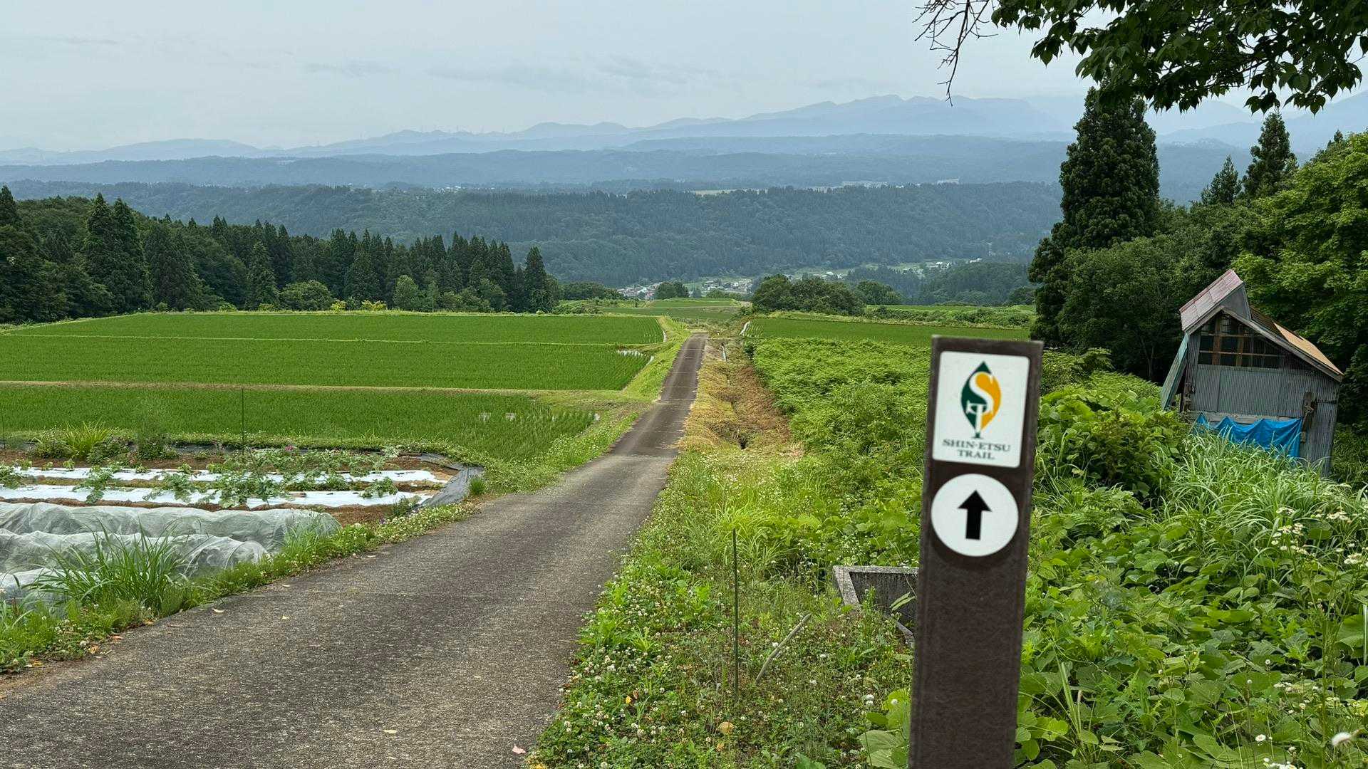 信越トレイル#4（sec.5-6-7／関田峠〜伏野峠〜野々海〜天水山〜森宮之原駅） の写真 82