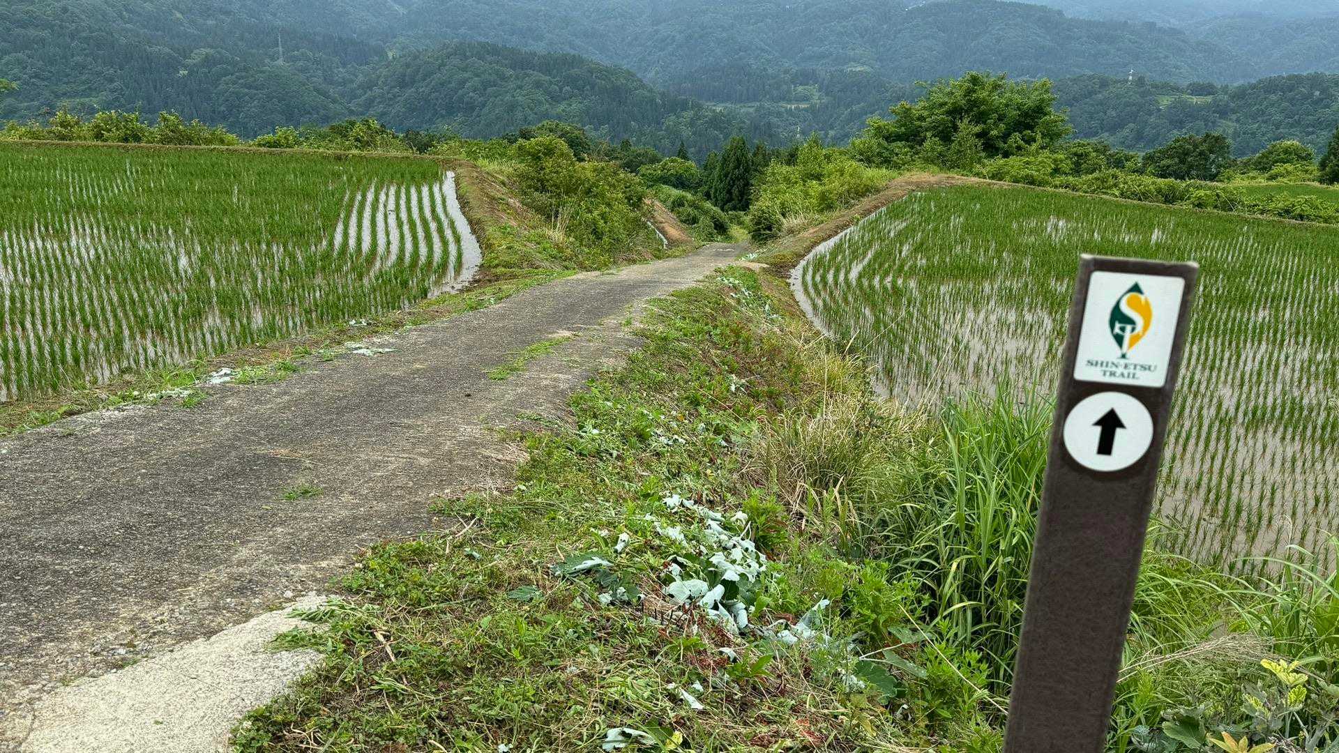 信越トレイル#4（sec.5-6-7／関田峠〜伏野峠〜野々海〜天水山〜森宮之原駅） の写真 80