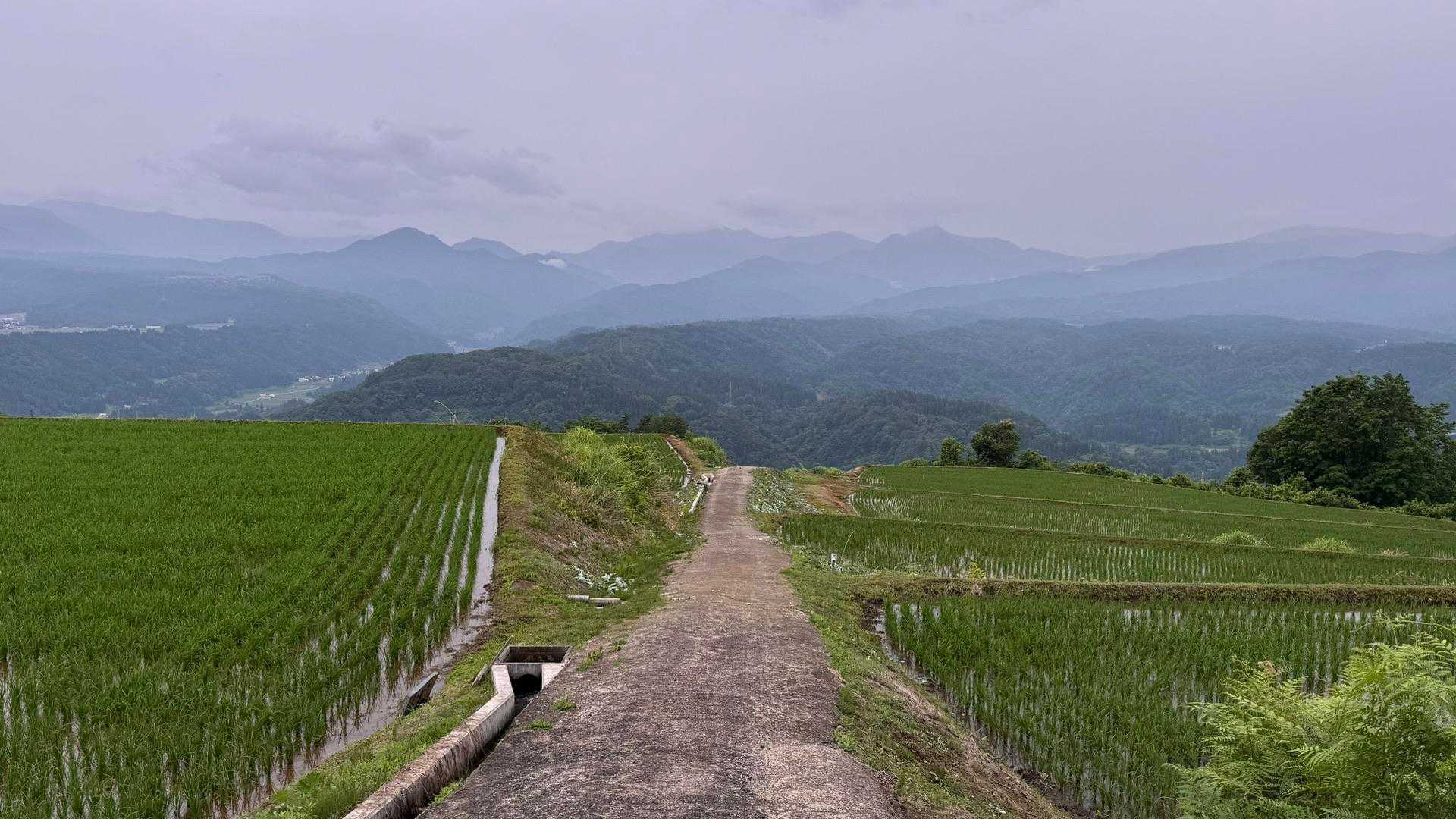 信越トレイル#4（sec.5-6-7／関田峠〜伏野峠〜野々海〜天水山〜森宮之原駅） の写真 78