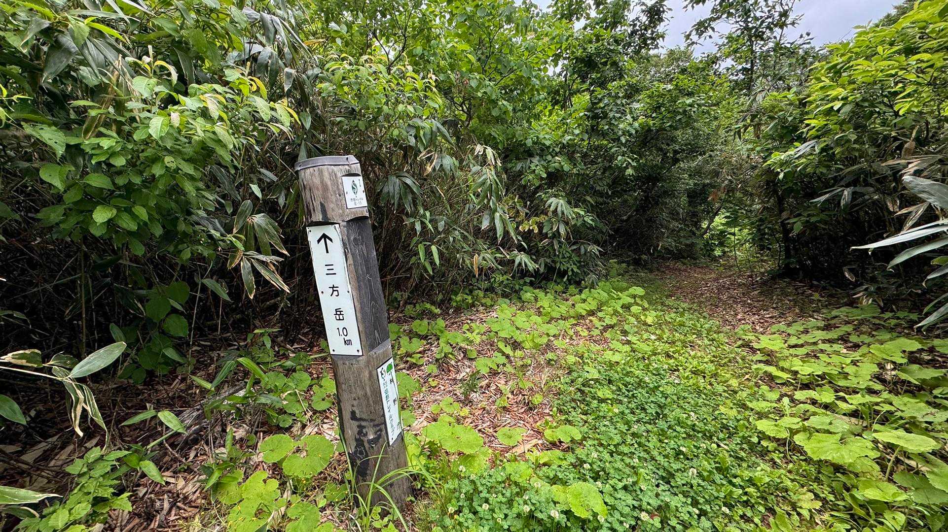 信越トレイル#4（sec.5-6-7／関田峠〜伏野峠〜野々海〜天水山〜森宮之原駅） の写真 60