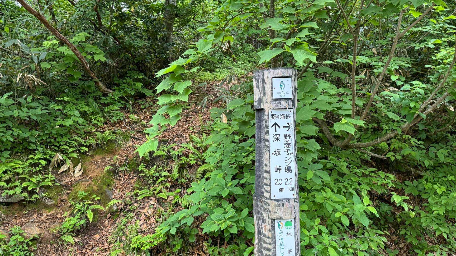 信越トレイル#4（sec.5-6-7／関田峠〜伏野峠〜野々海〜天水山〜森宮之原駅） の写真 49