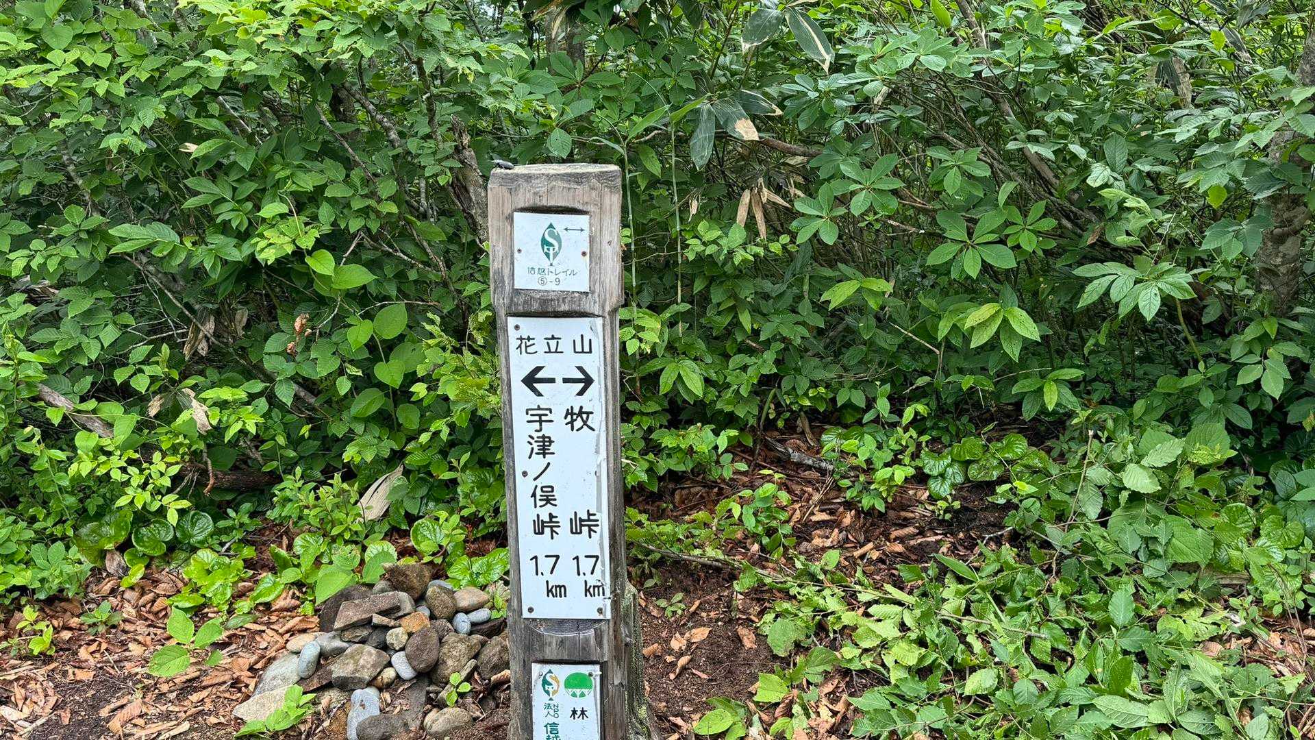 5-9、花立山