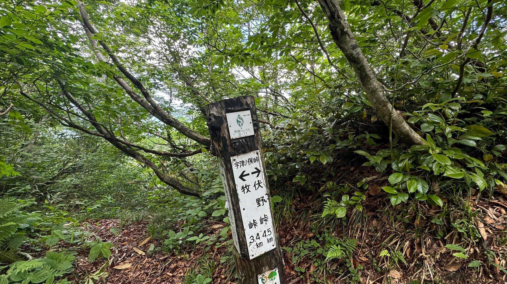 5-11、宇津ノ俣峠