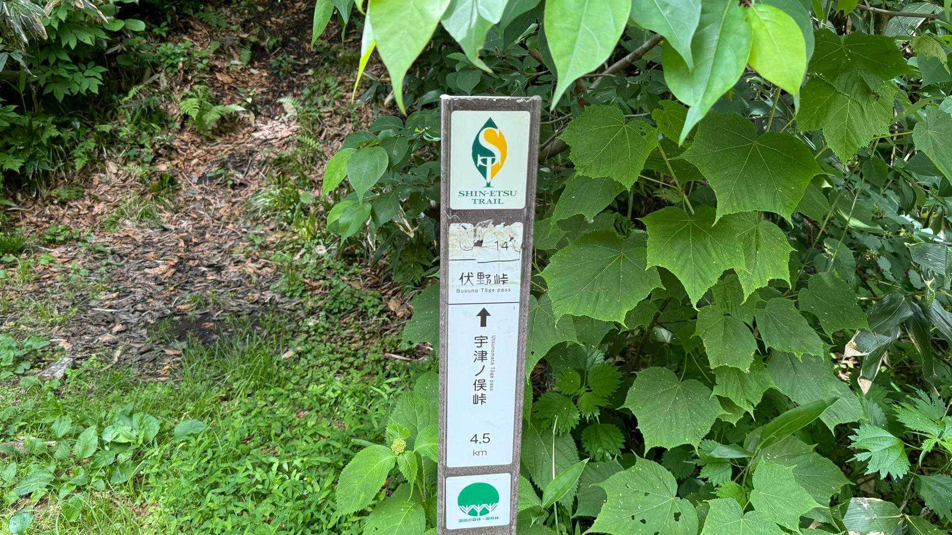 5ｰ14、伏野峠