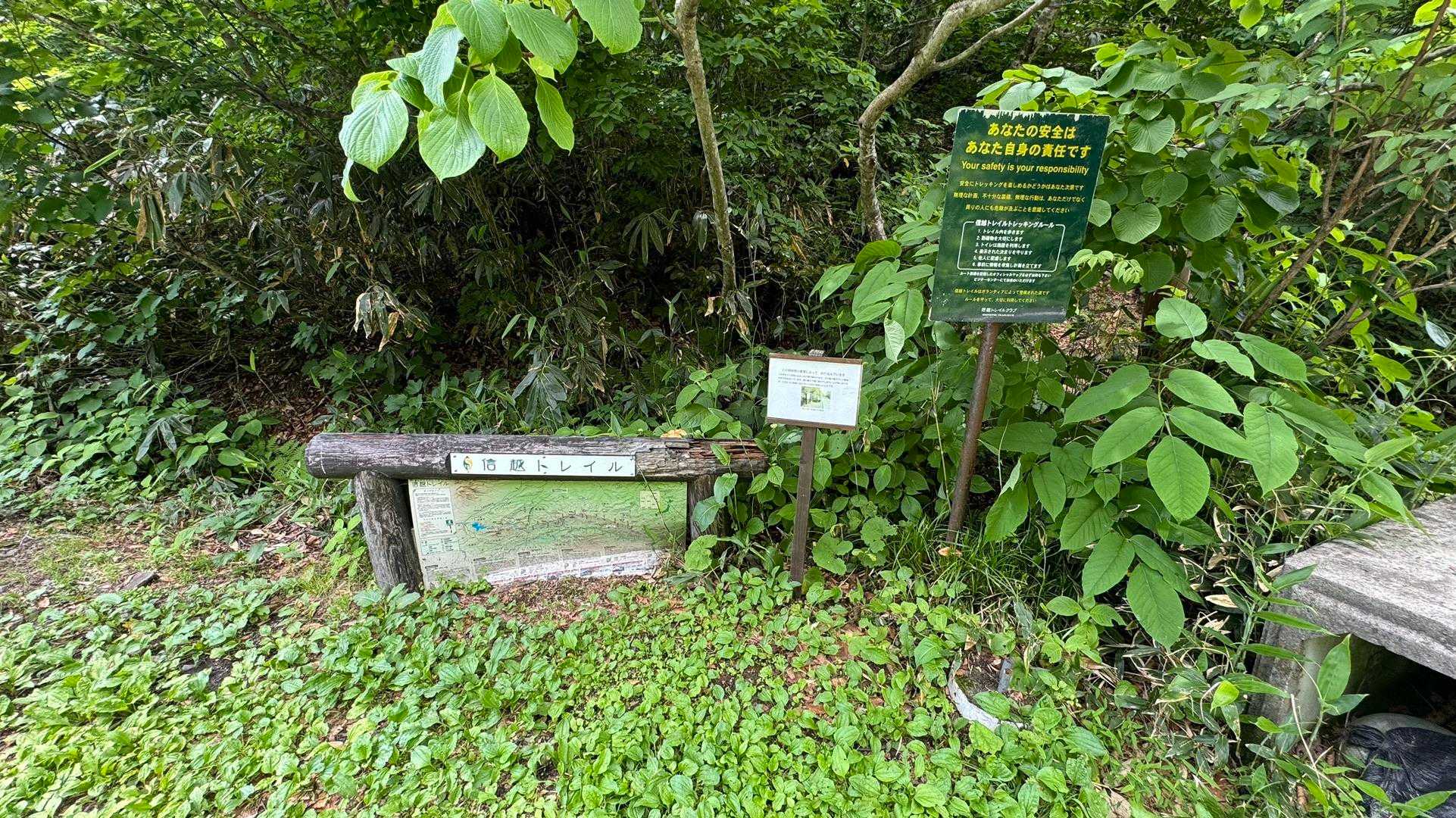 よく見るヤツ