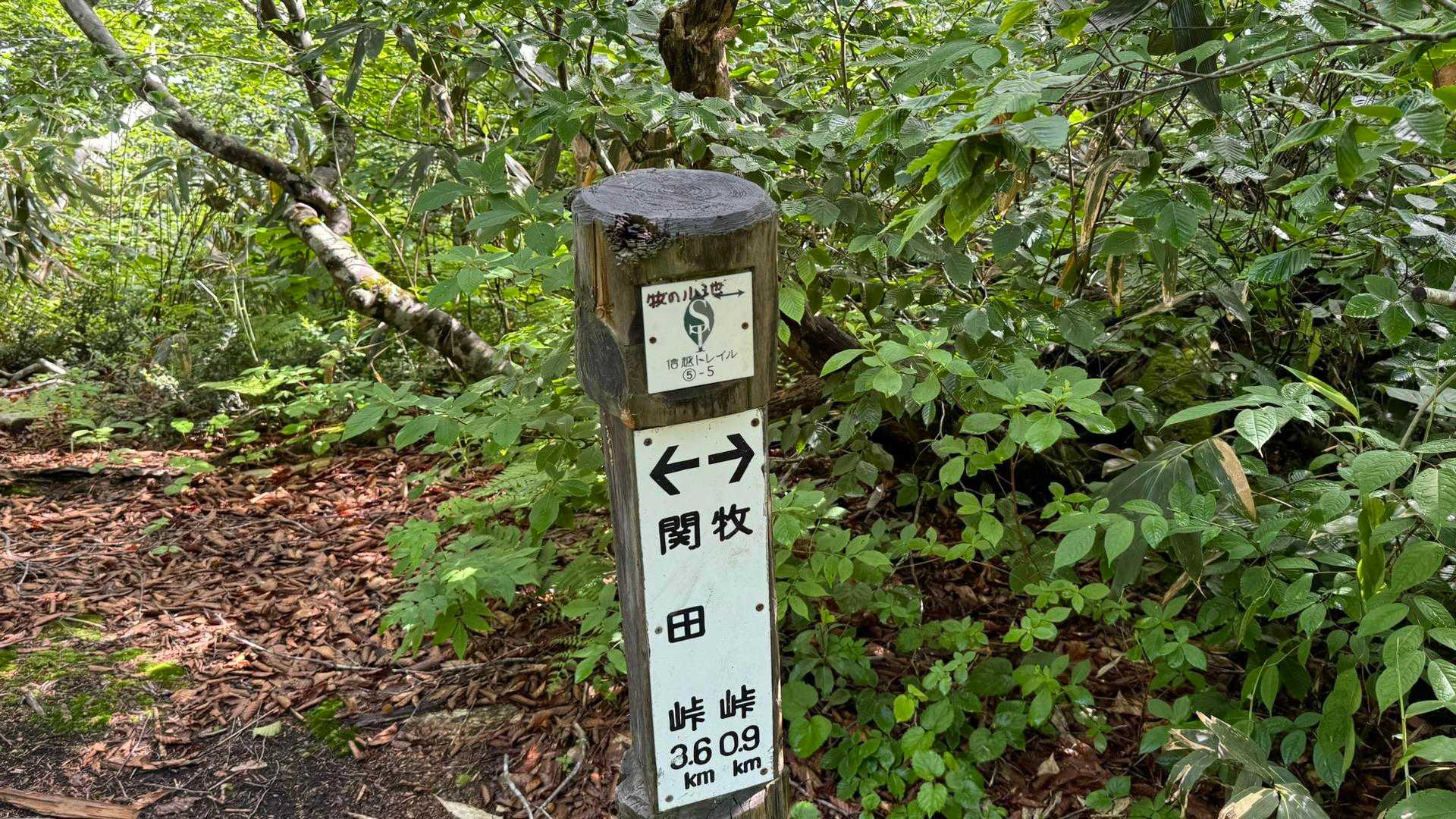 5-5、牧の小池