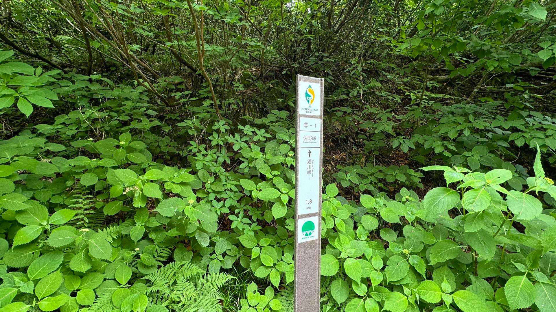 6-1、伏野峠