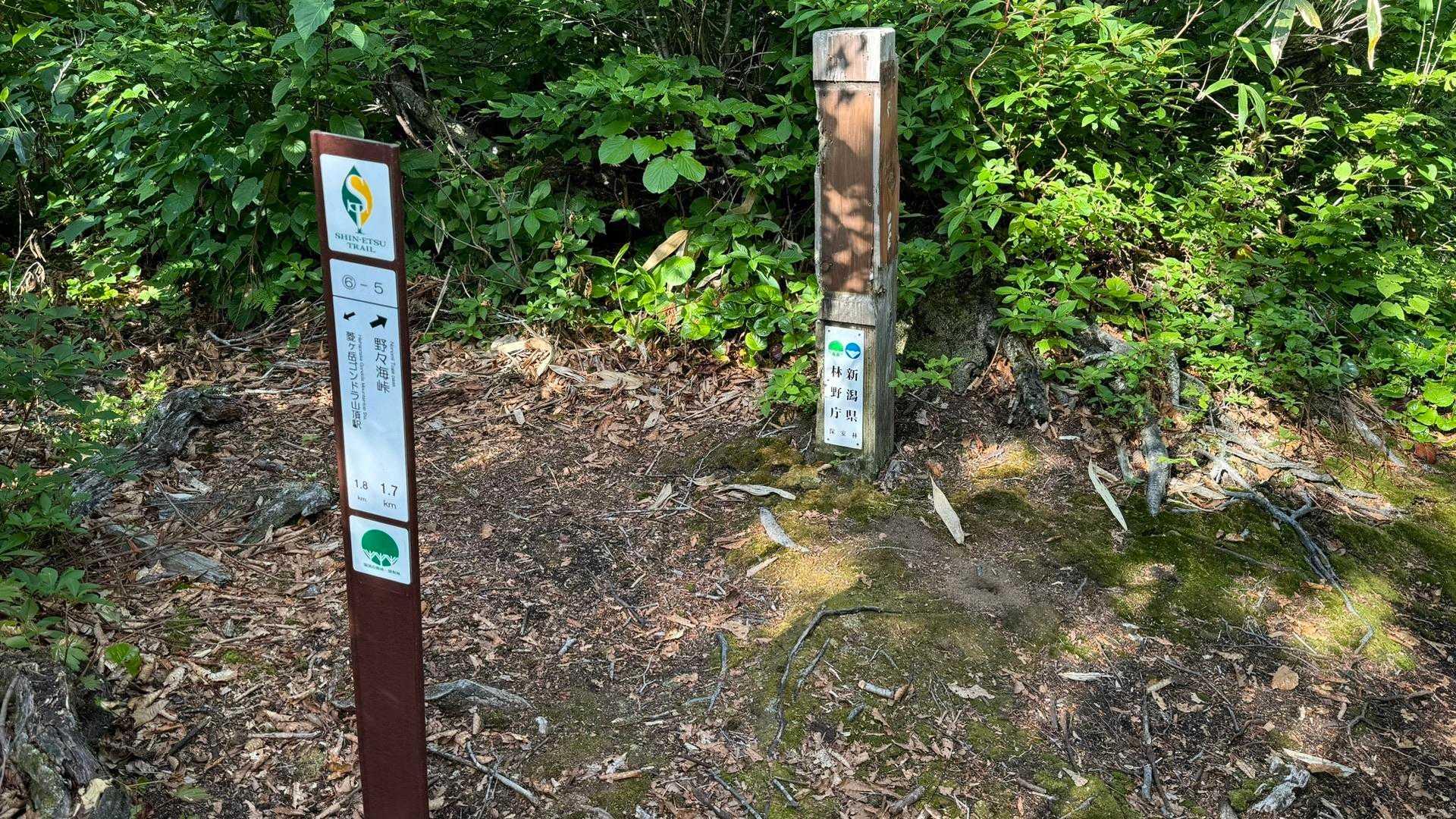 6ｰ5、分岐