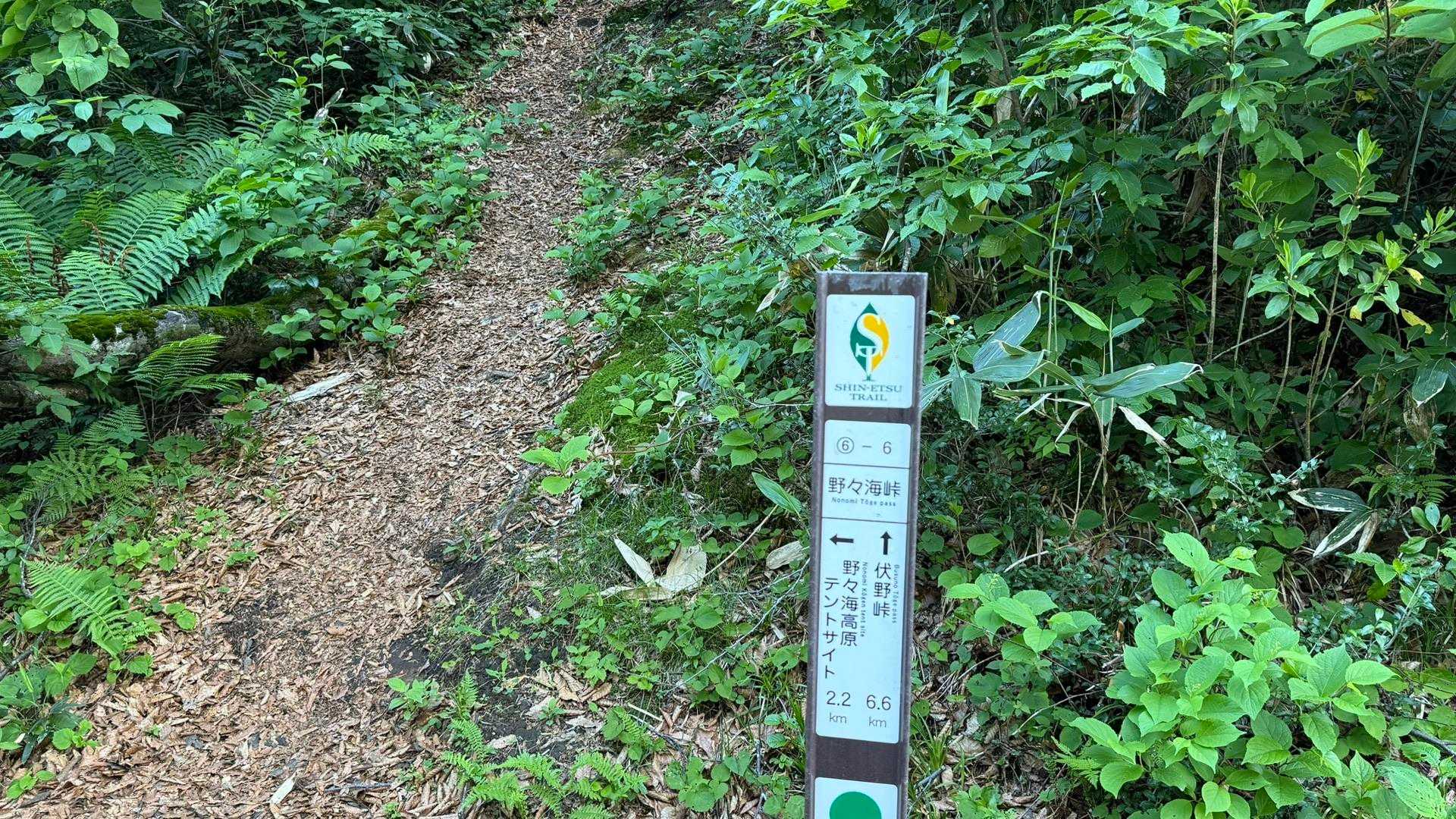 6-6、野々海峠