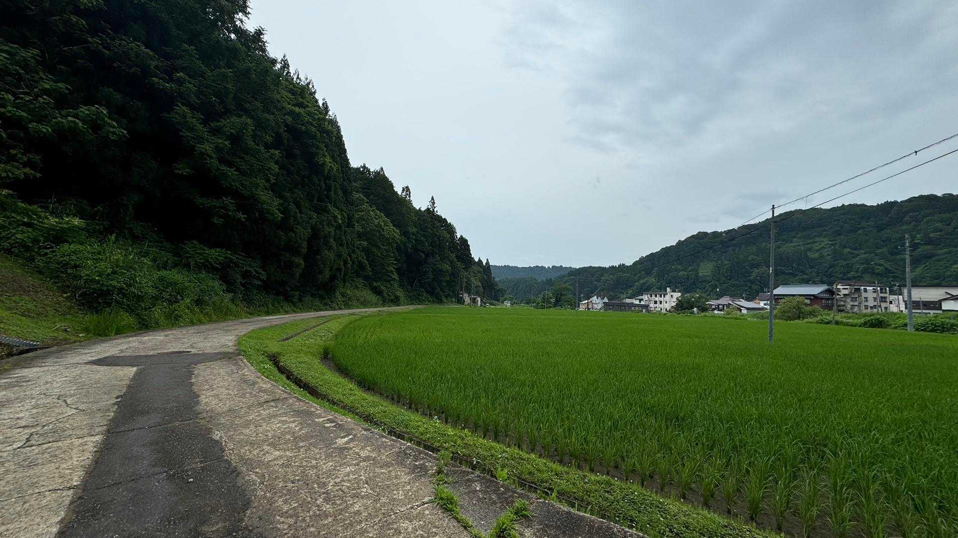 信越トレイル#4（sec.5-6-7／関田峠〜伏野峠〜野々海〜天水山〜森宮之原駅） の写真 87