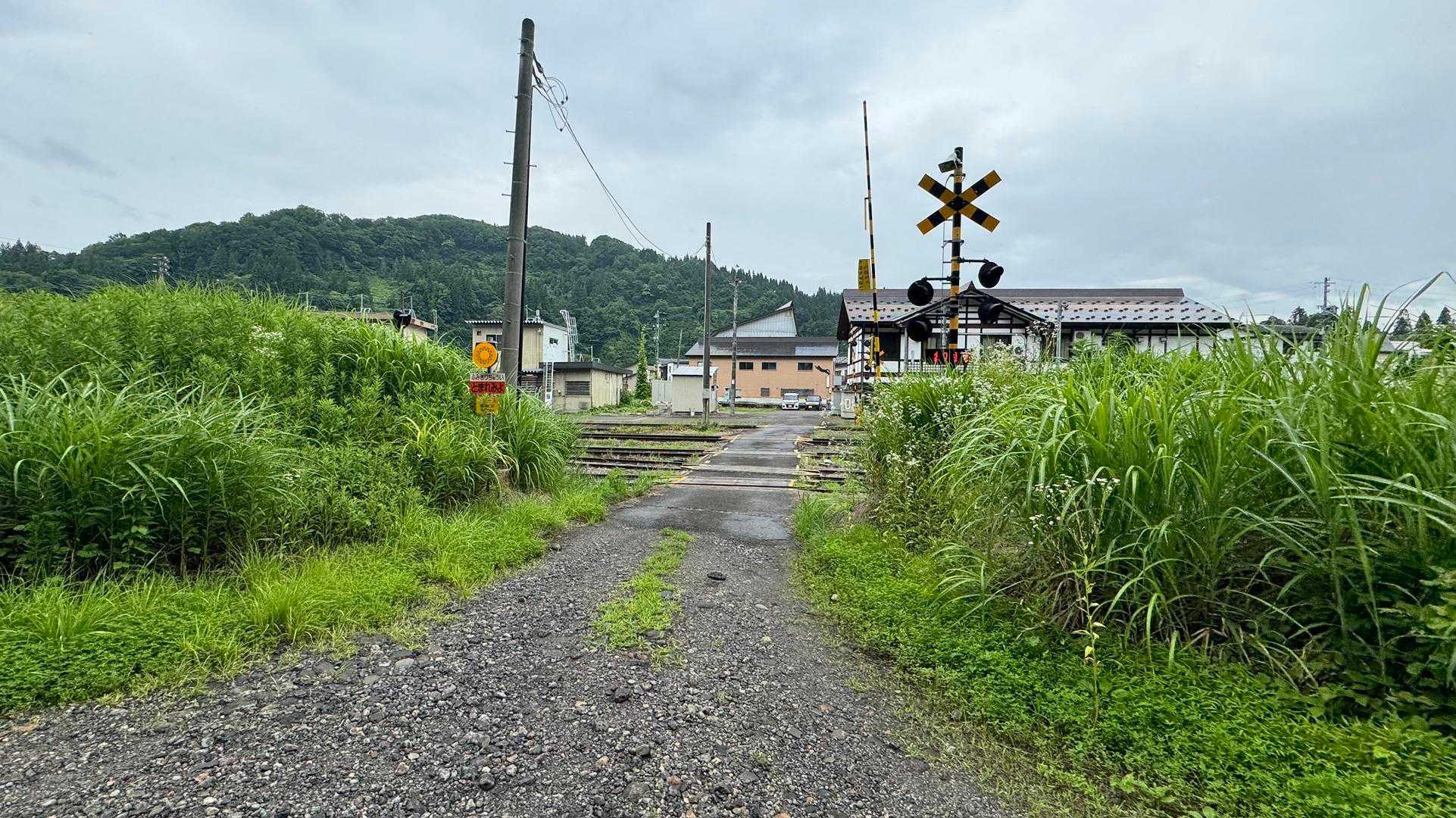 信越トレイル#4（sec.5-6-7／関田峠〜伏野峠〜野々海〜天水山〜森宮之原駅） の写真 89