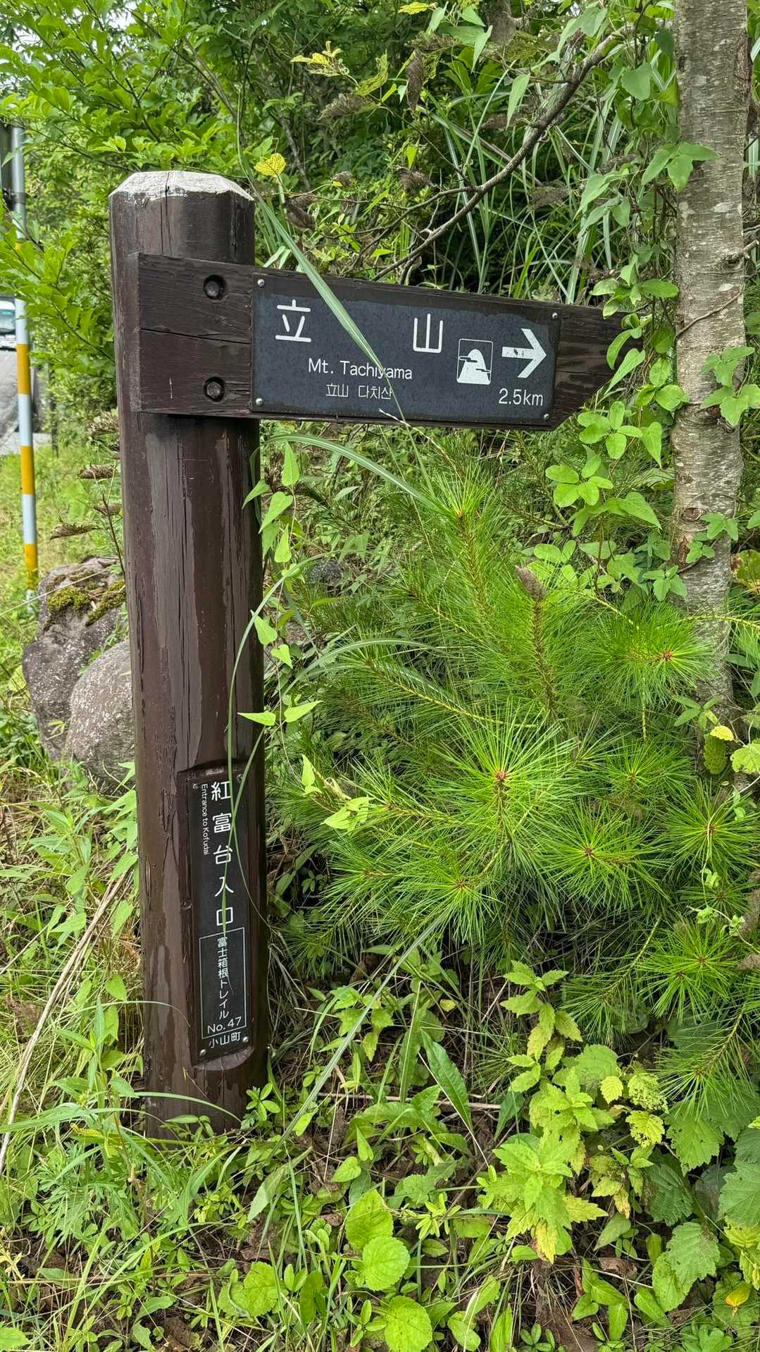 富士箱根トレイル／セクションハイク（須走五合目〜立山〜籠坂峠） の写真 6