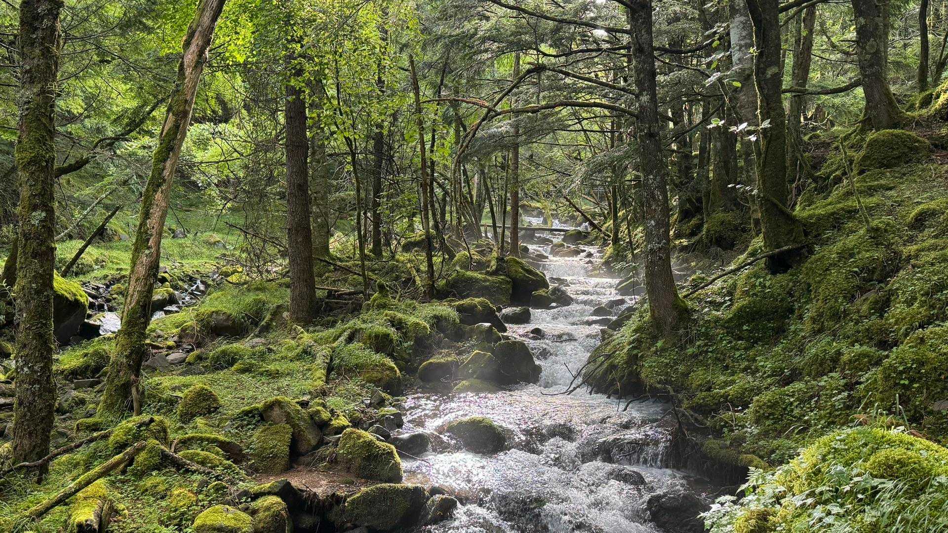 八ヶ岳（赤岳、中岳）縦走 の写真 4