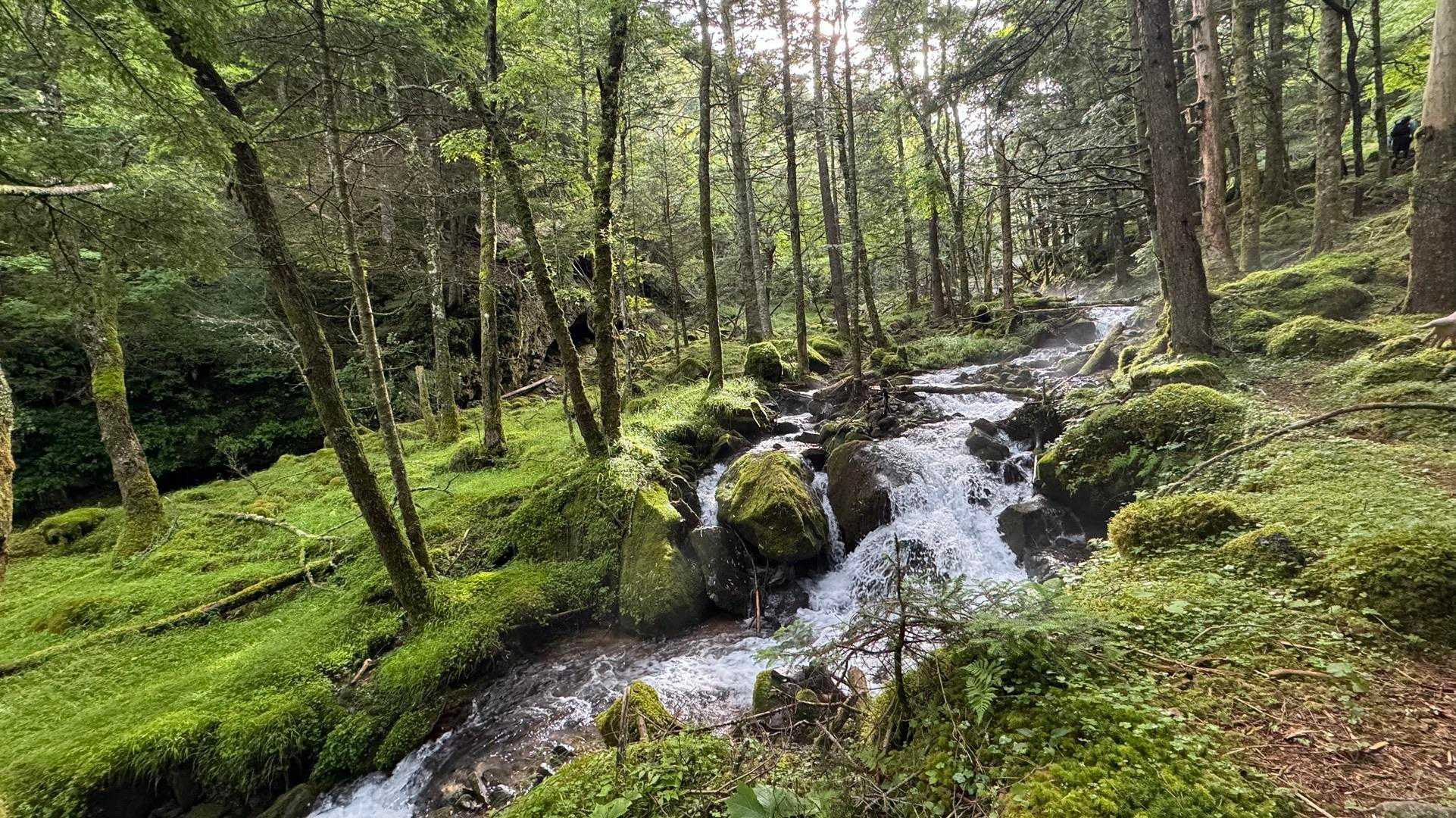 八ヶ岳（赤岳、中岳）縦走 の写真 3
