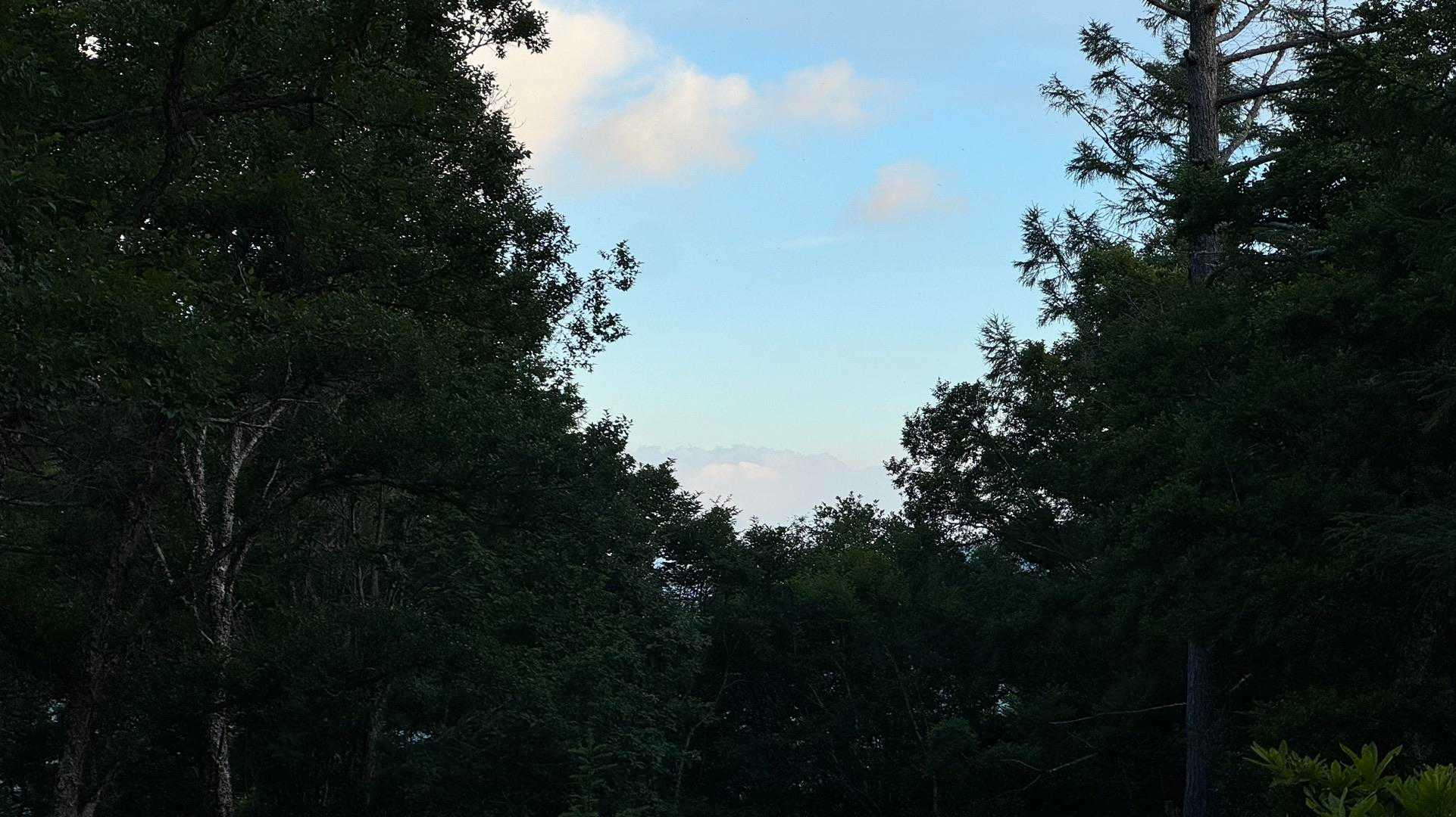 富士山は見えず