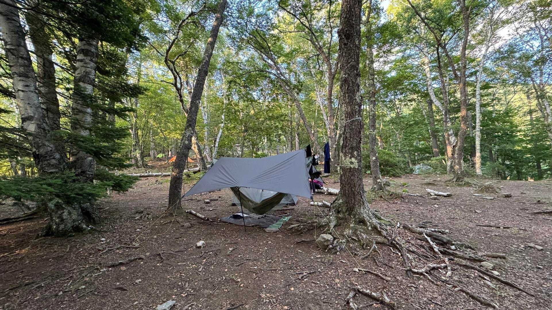 瑞牆山（富士見平小屋テン泊） の写真 17