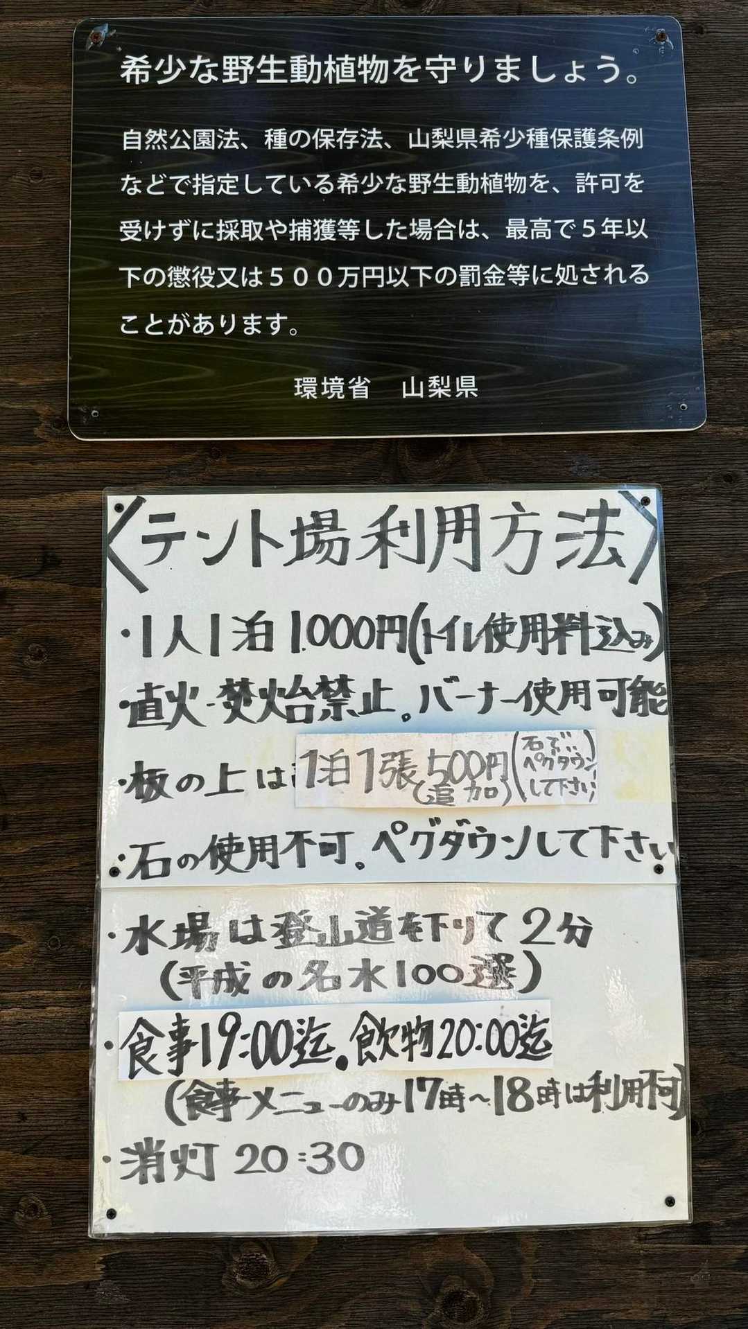 瑞牆山（富士見平小屋テン泊） の写真 3