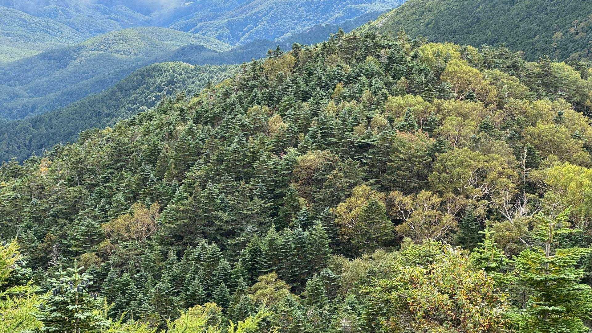 金峰山・朝日岳（大弛峠ピストン） の写真 11