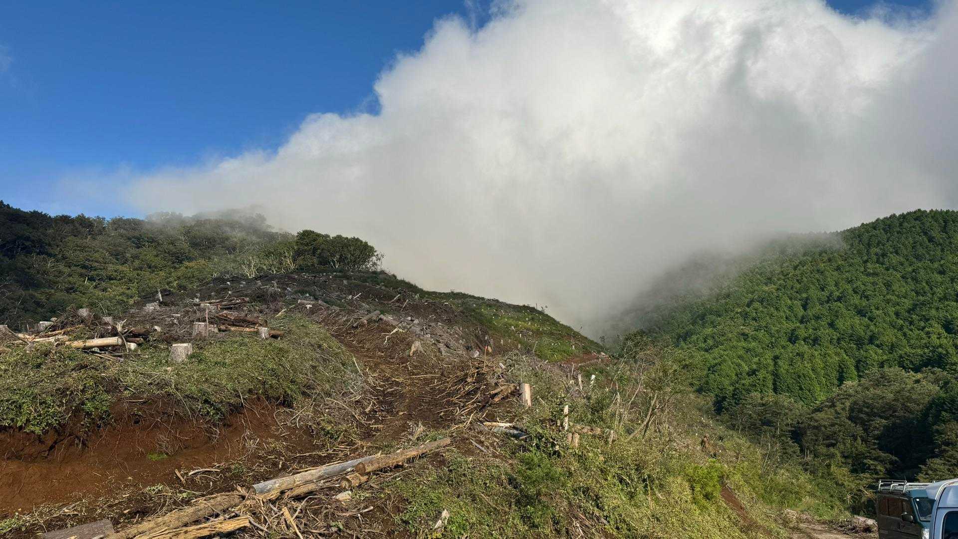 富士箱根トレイル（丸鉢山・金時山・長尾山） の写真 12