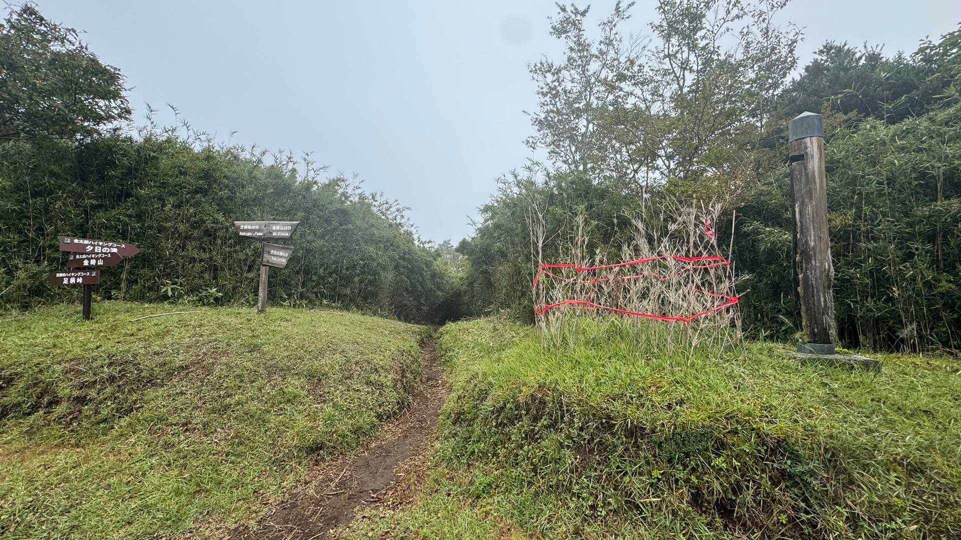 富士箱根トレイル（丸鉢山・金時山・長尾山） の写真 8