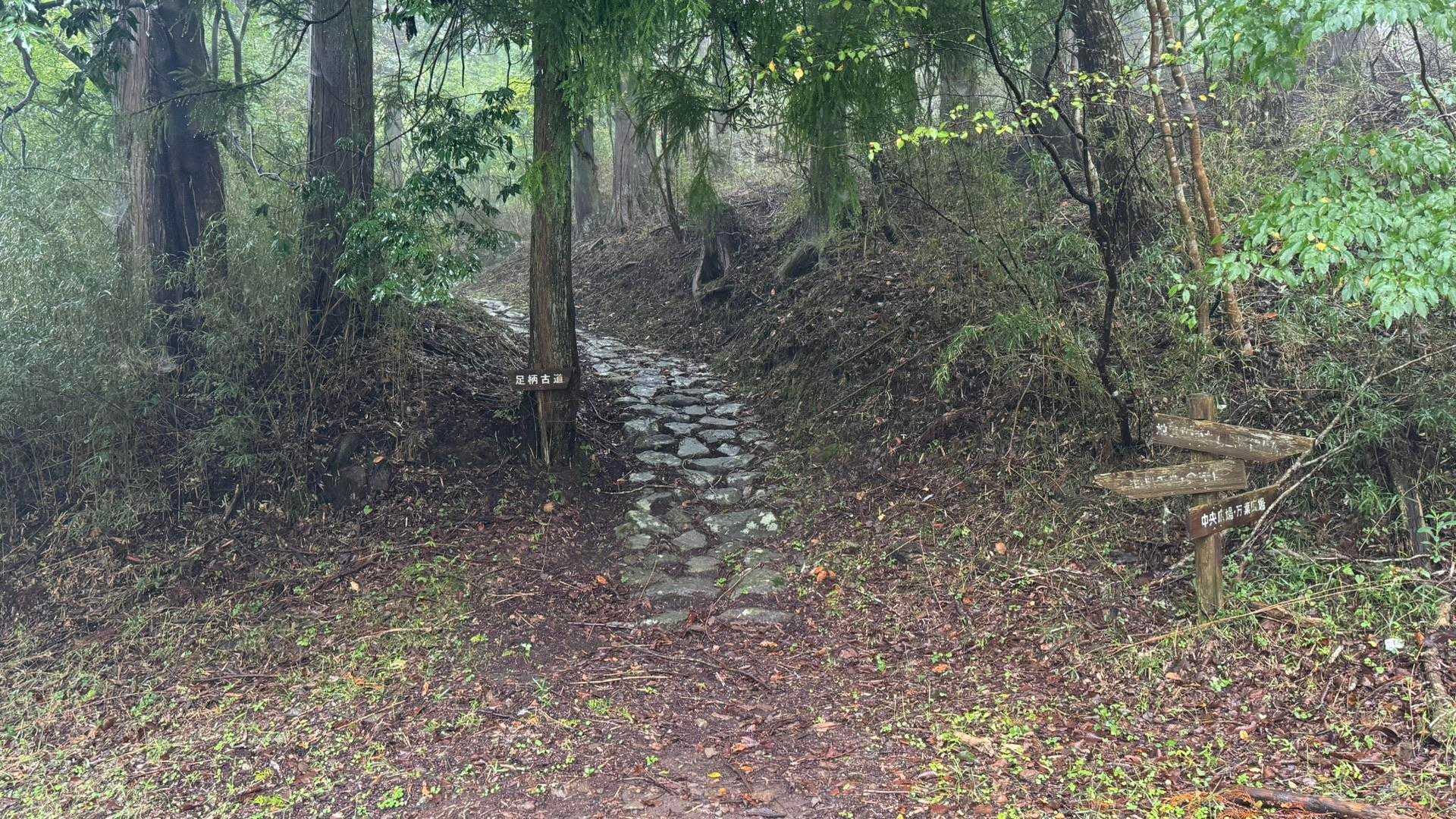 足柄古道