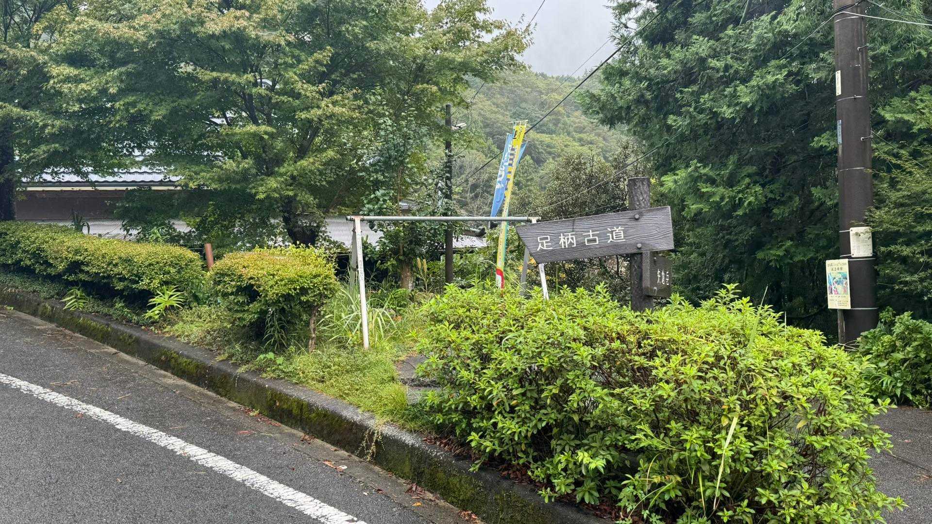 富士箱根トレイル（丸鉢山・金時山・長尾山） の写真 2