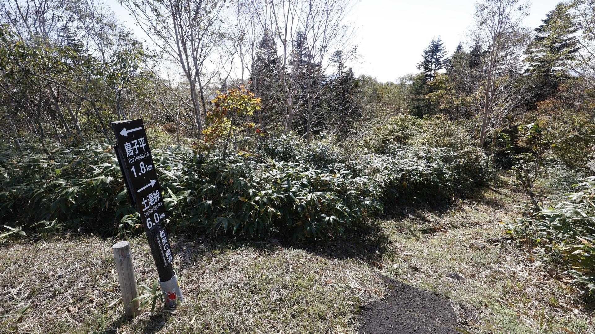 磐梯・吾妻・安達太良ボルケーノトレイル#1（駱駝山〜一切経山〜吾妻小富士〜東吾妻山）、セクションハイク の写真 60