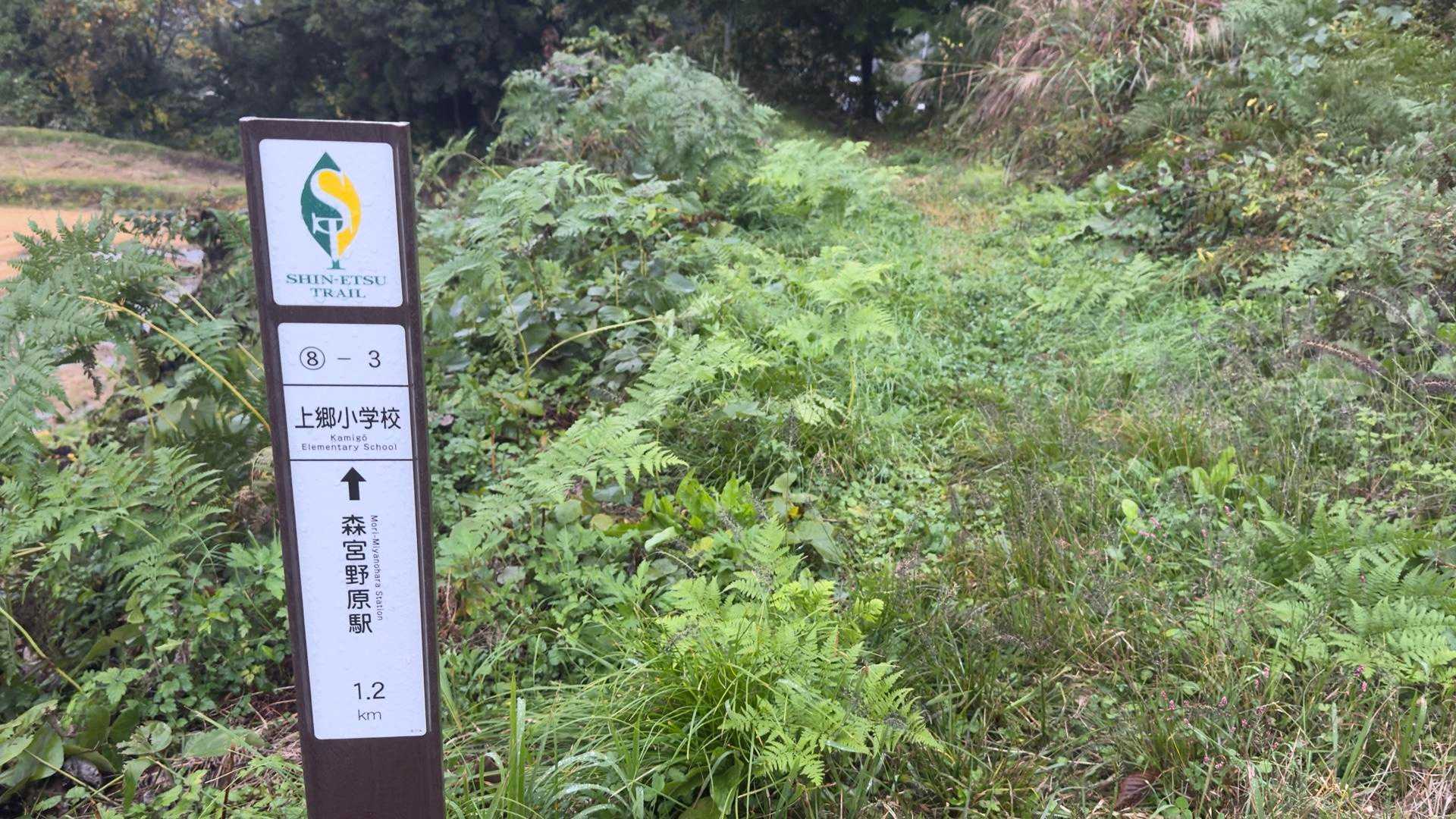 信越トレイル#5（sec.10-9-8／苗場山〜小赤沢〜結東〜森宮之原駅）、完走！ の写真 80