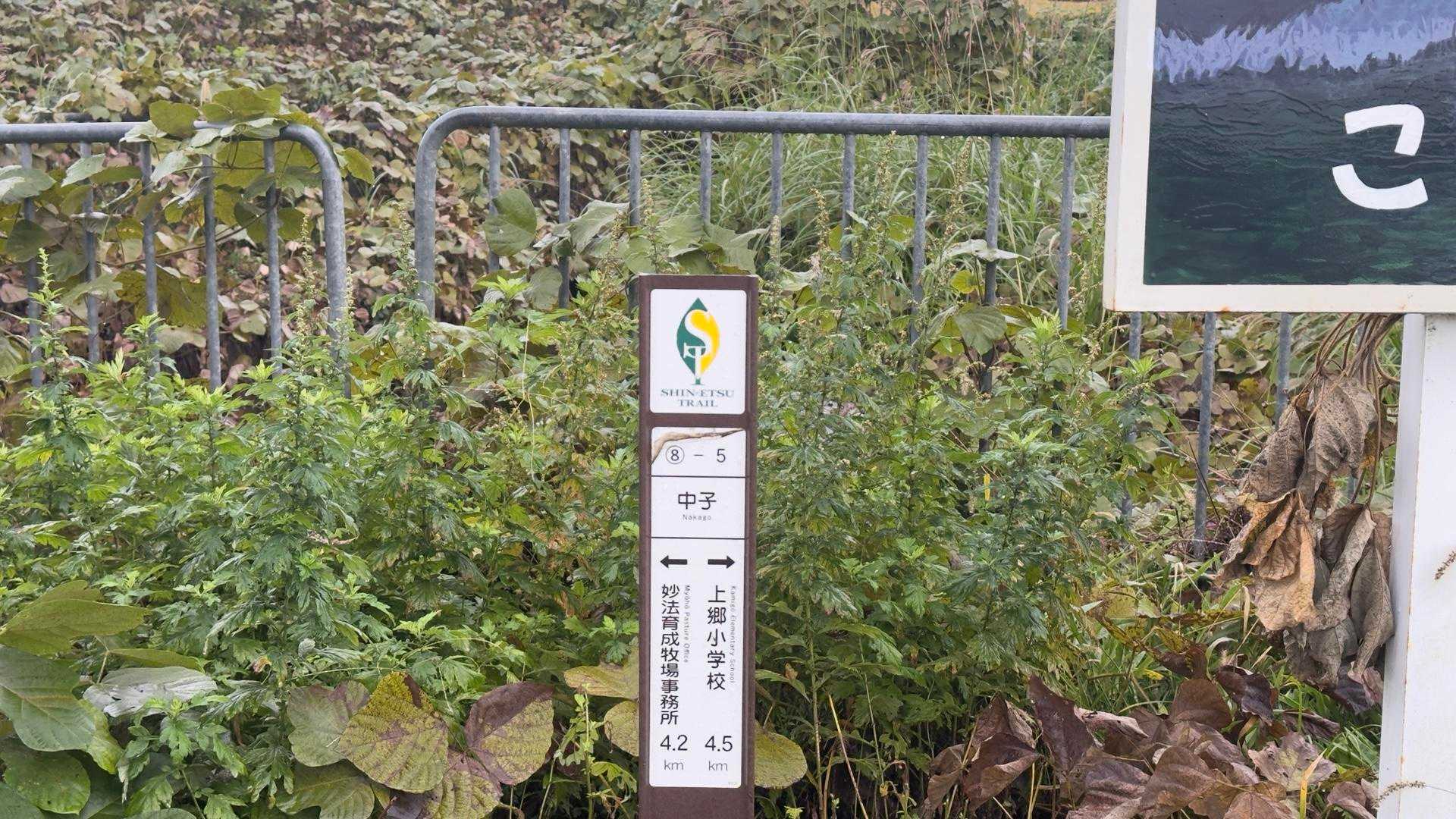 信越トレイル#5（sec.10-9-8／苗場山〜小赤沢〜結東〜森宮之原駅）、完走！ の写真 78