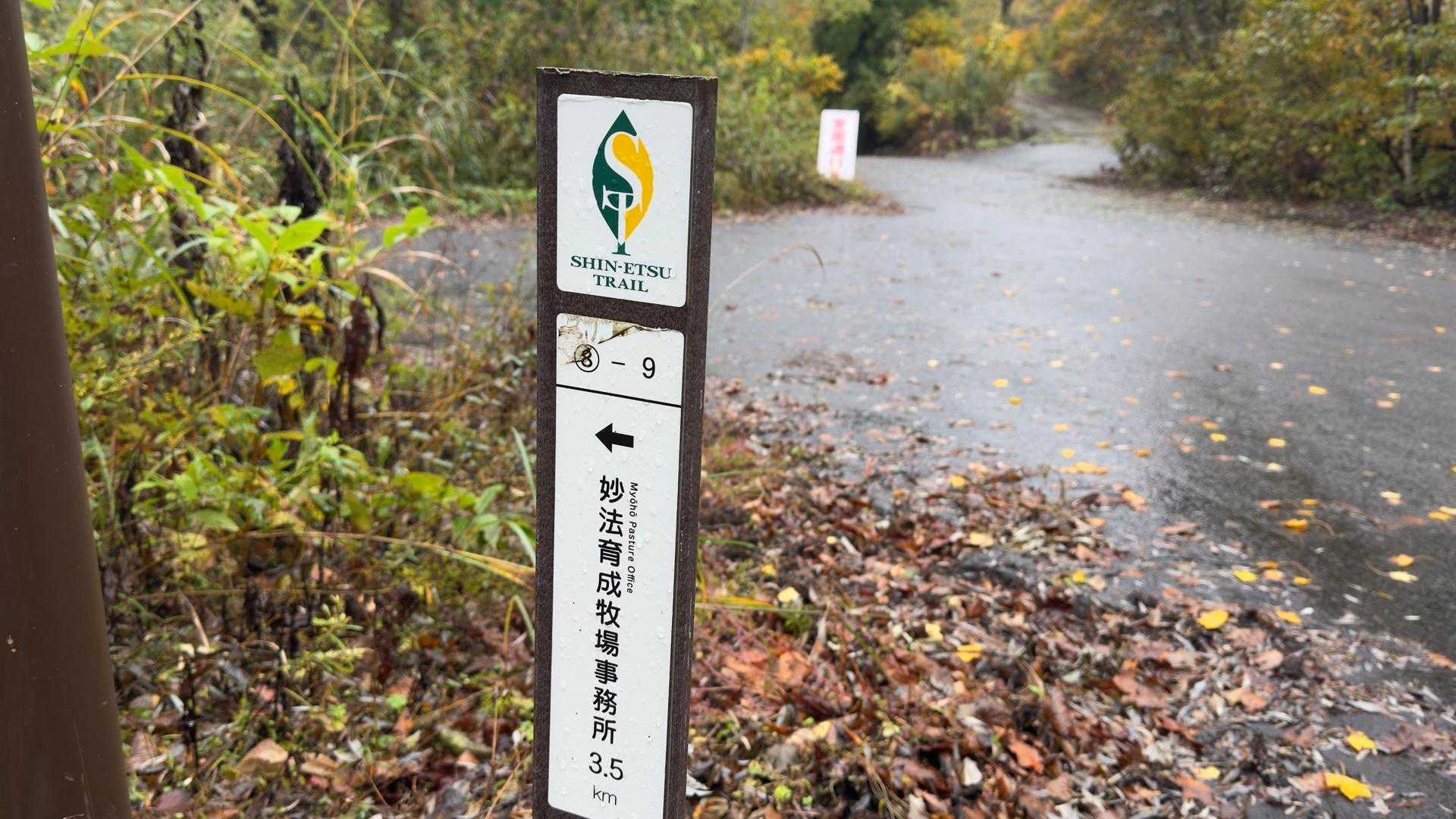 信越トレイル#5（sec.10-9-8／苗場山〜小赤沢〜結東〜森宮之原駅）、完走！ の写真 67