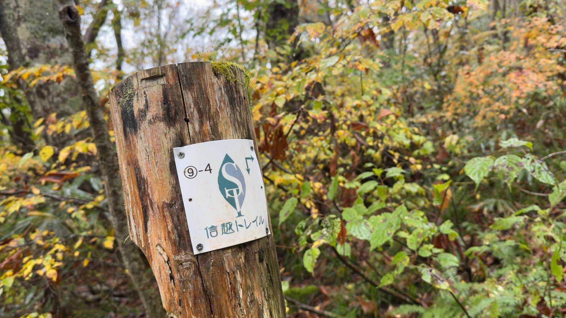 信越トレイル#5（sec.10-9-8／苗場山〜小赤沢〜結東〜森宮之原駅）、完走！ の写真 54