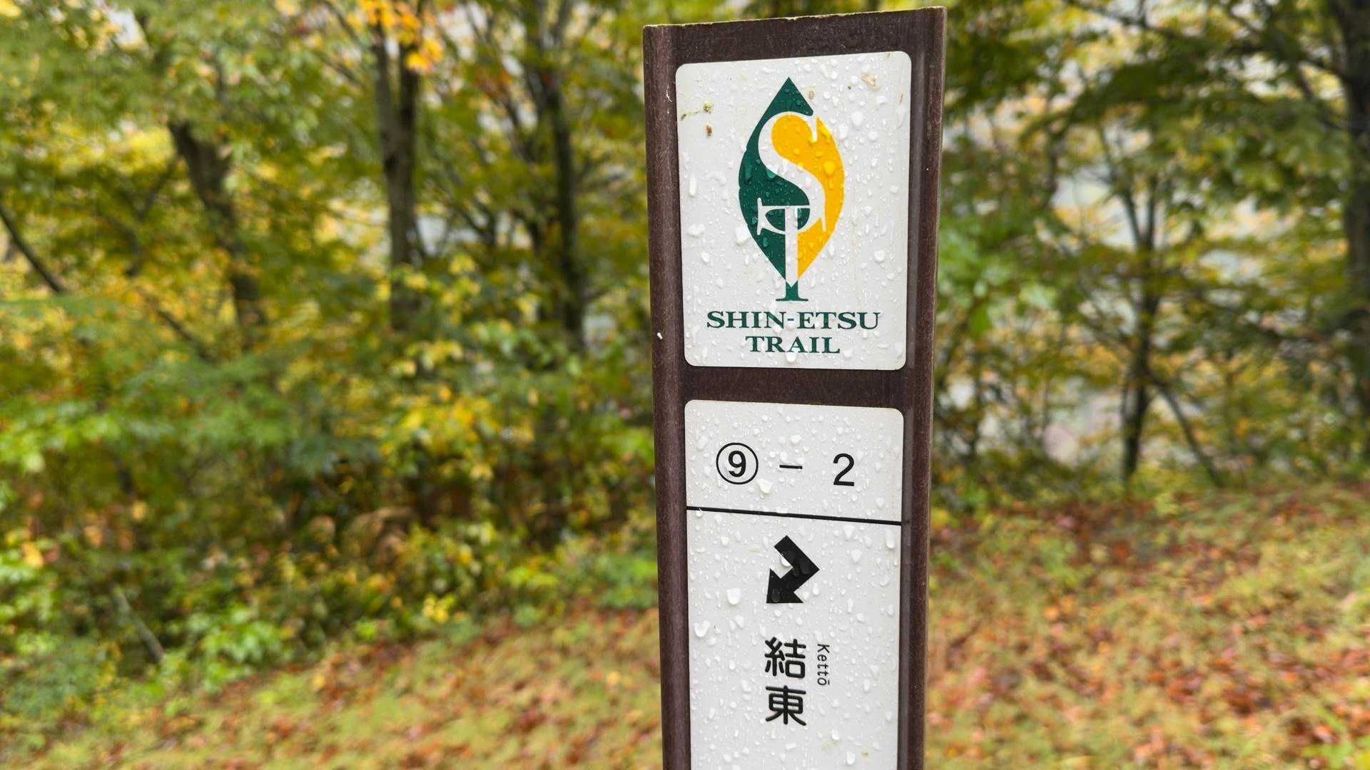 信越トレイル#5（sec.10-9-8／苗場山〜小赤沢〜結東〜森宮之原駅）、完走！ の写真 57