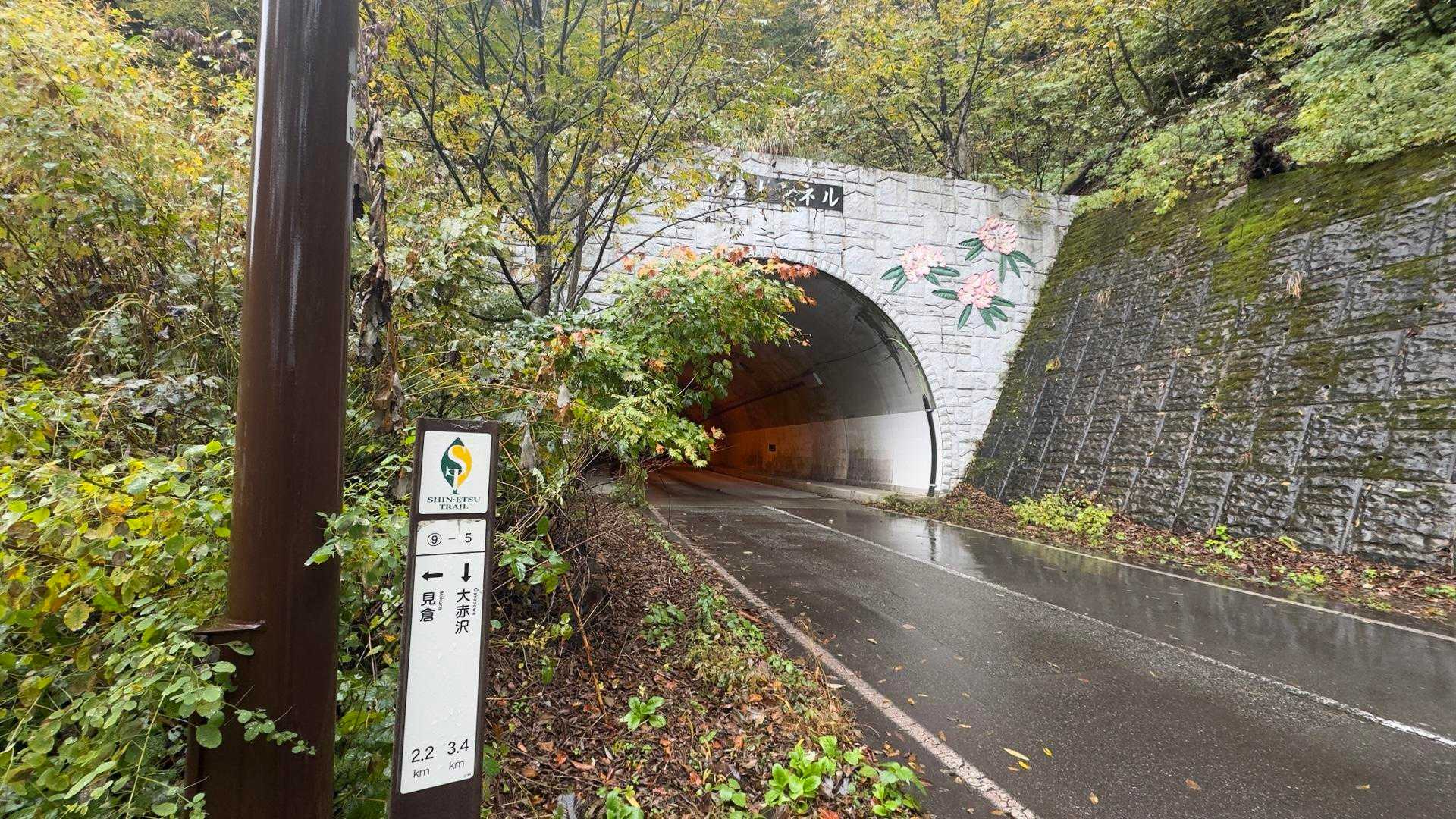 信越トレイル#5（sec.10-9-8／苗場山〜小赤沢〜結東〜森宮之原駅）、完走！ の写真 52