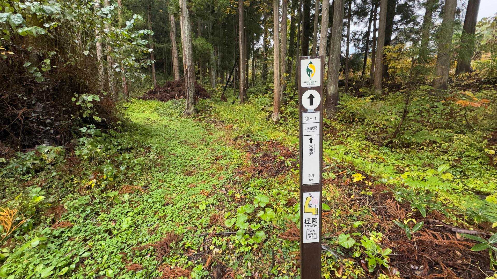 信越トレイル#5（sec.10-9-8／苗場山〜小赤沢〜結東〜森宮之原駅）、完走！ の写真 44